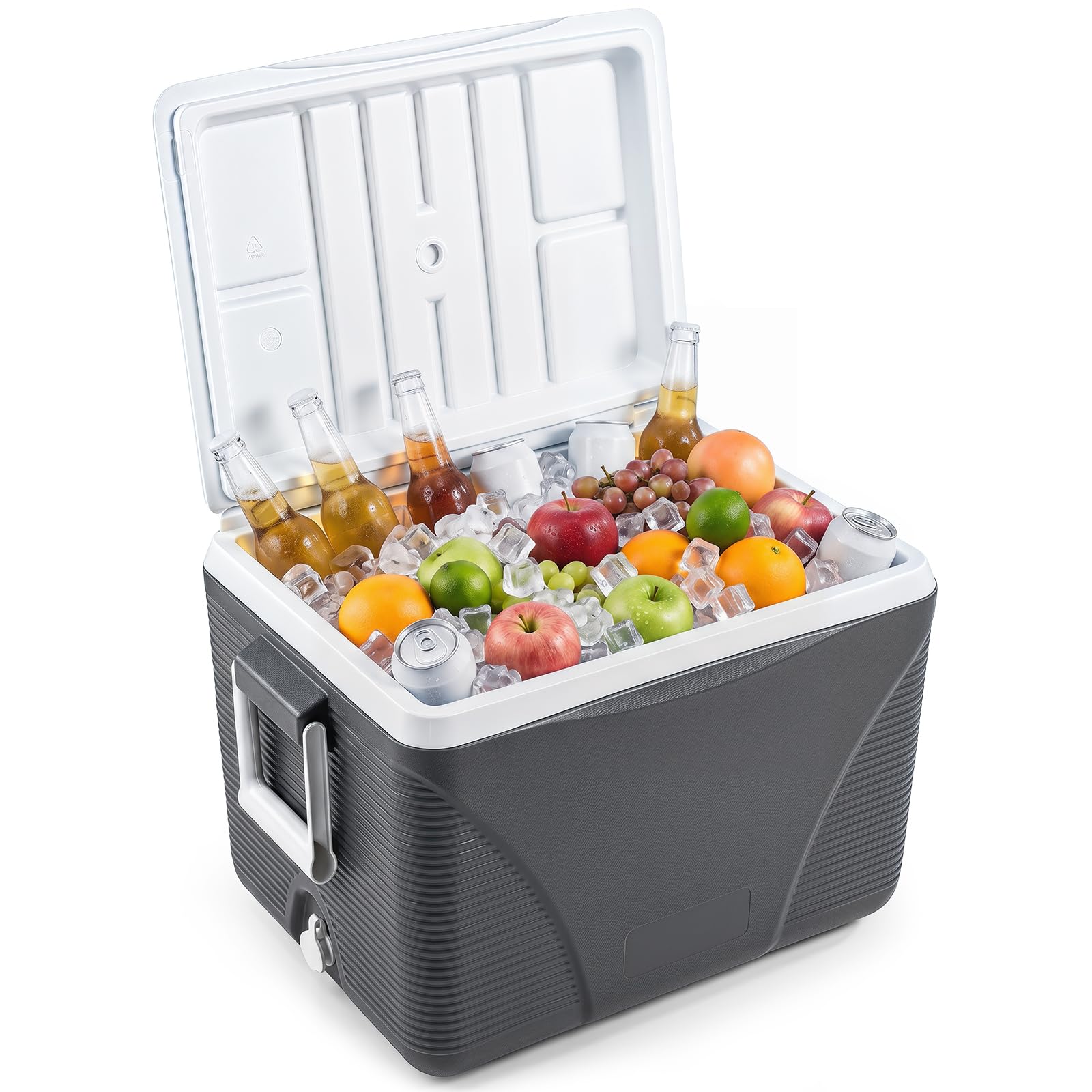 TANGZON 21 L Portable Hard Cooler Box, Heavy Duty Ice Chest (21L)