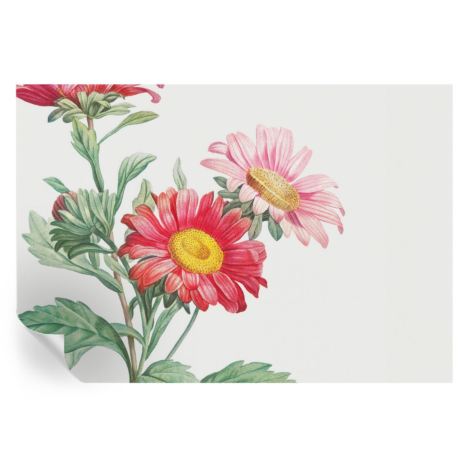 Estampados de flores delicadas en revestimiento adhesivo premium para la decoración del hogar