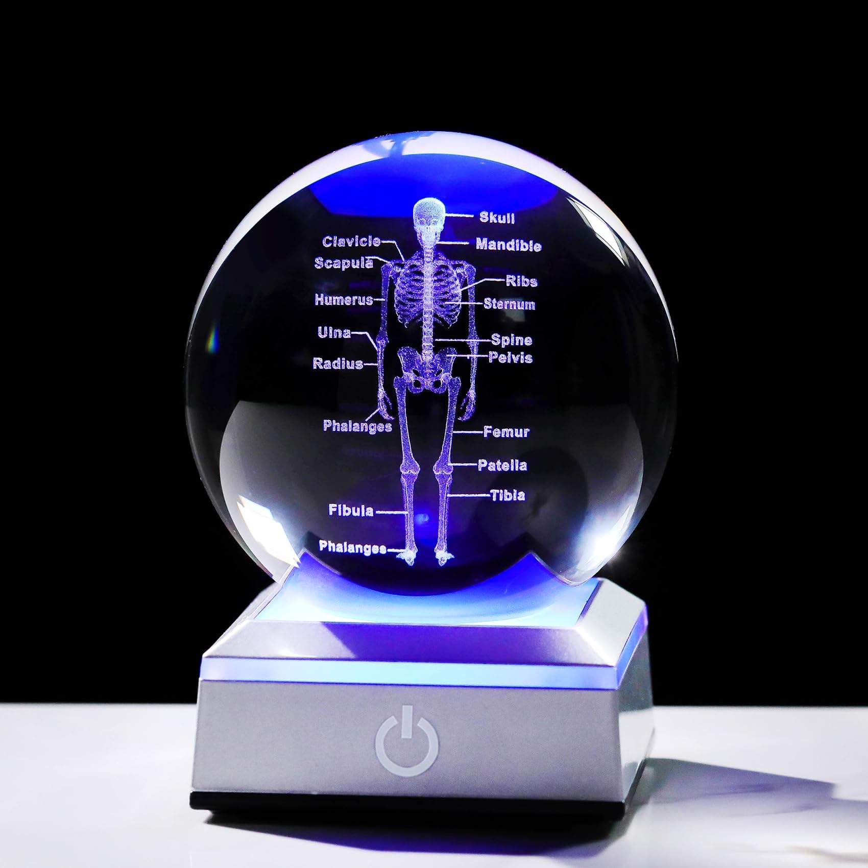 Ornalrist 3D Human Skeleton 3.15 in. Crystal Ball Gifts for Surgeon Doctor Osteologist, Glass Sphere Etched Anatomy Model Keepsake for Men Office Decoration with LED Light Base