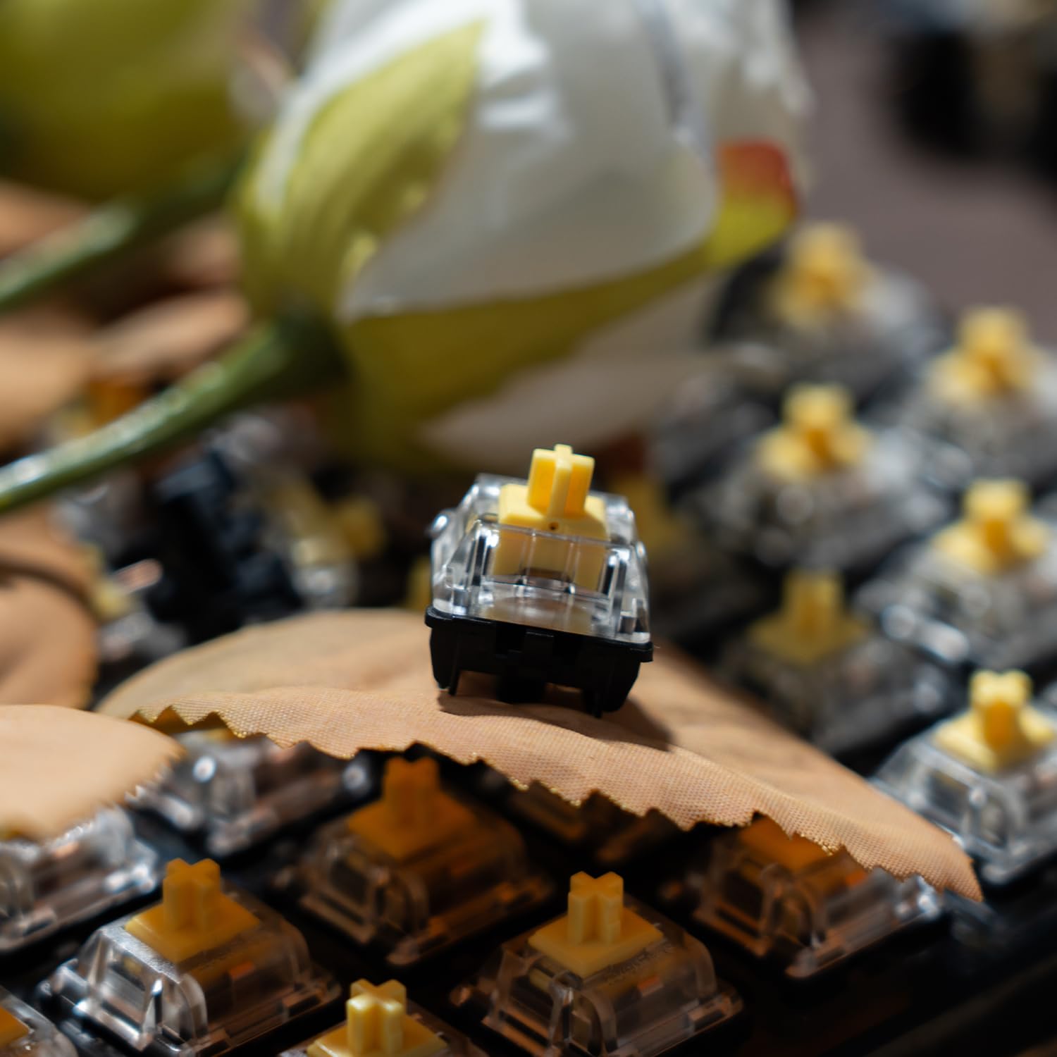 EverFree Silent Series Mechanical Keyboard Switches(Yellow,10pcs)