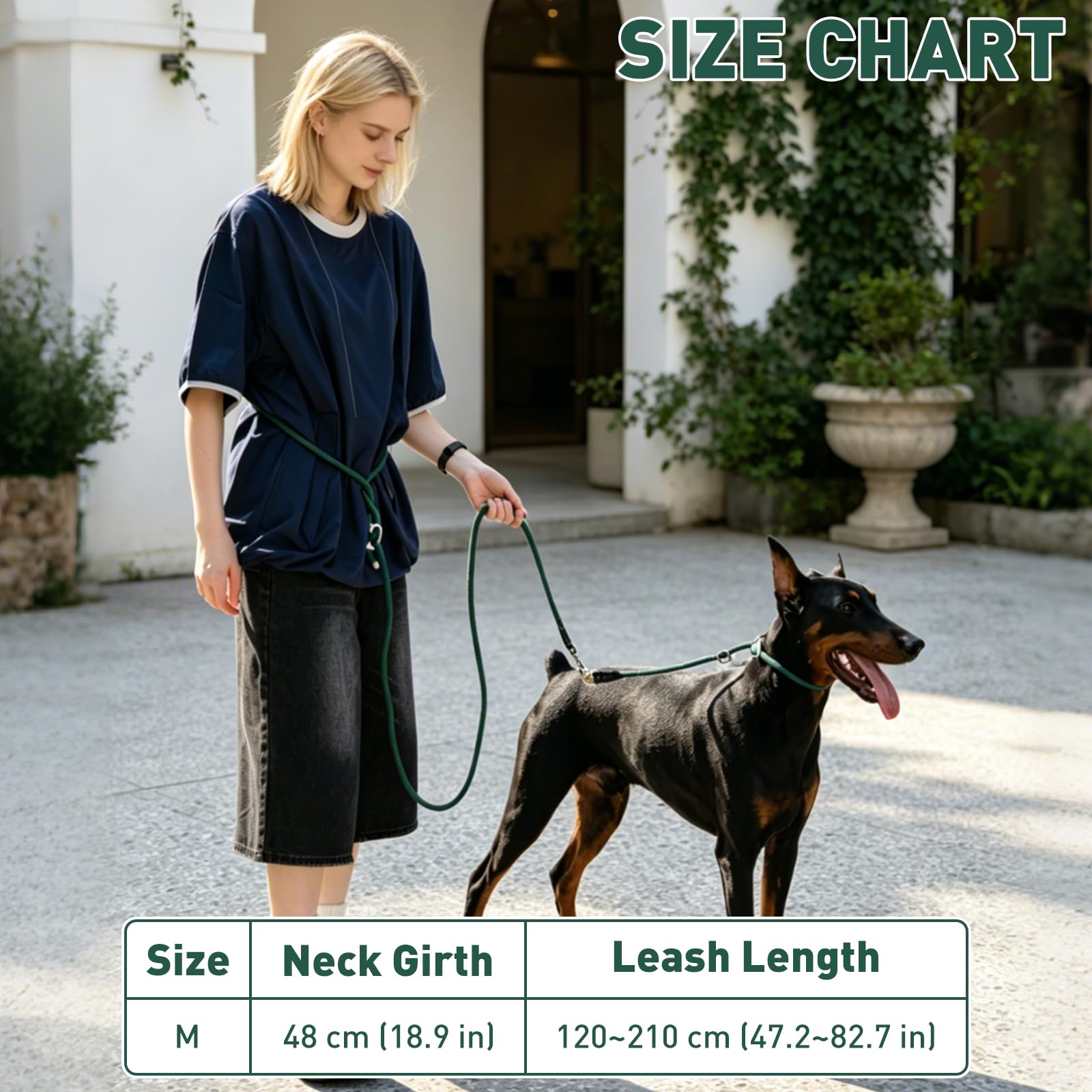 Hundeleine- und Halsband-Set, kein Ziehen, verstellbare und robuste einziehbare Trainingsleine, Hände/Taille/Schulter, 1,2 m - 2,1 m, Nylonseil für mittelgroße und große Hunde (M)