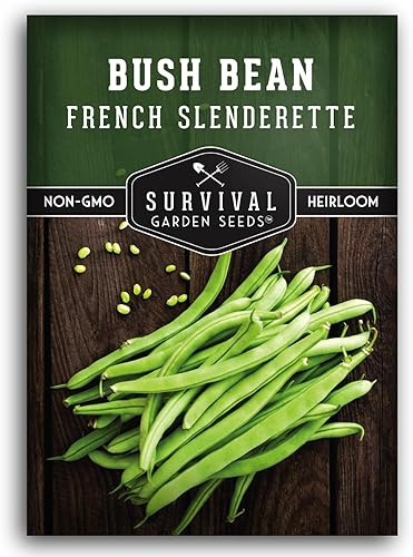 French Slenderette Bush Semillas de frijol para plantar, 1 paquete con instrucciones para plantar y cultivar verts de Haricots en tu huerto casero,