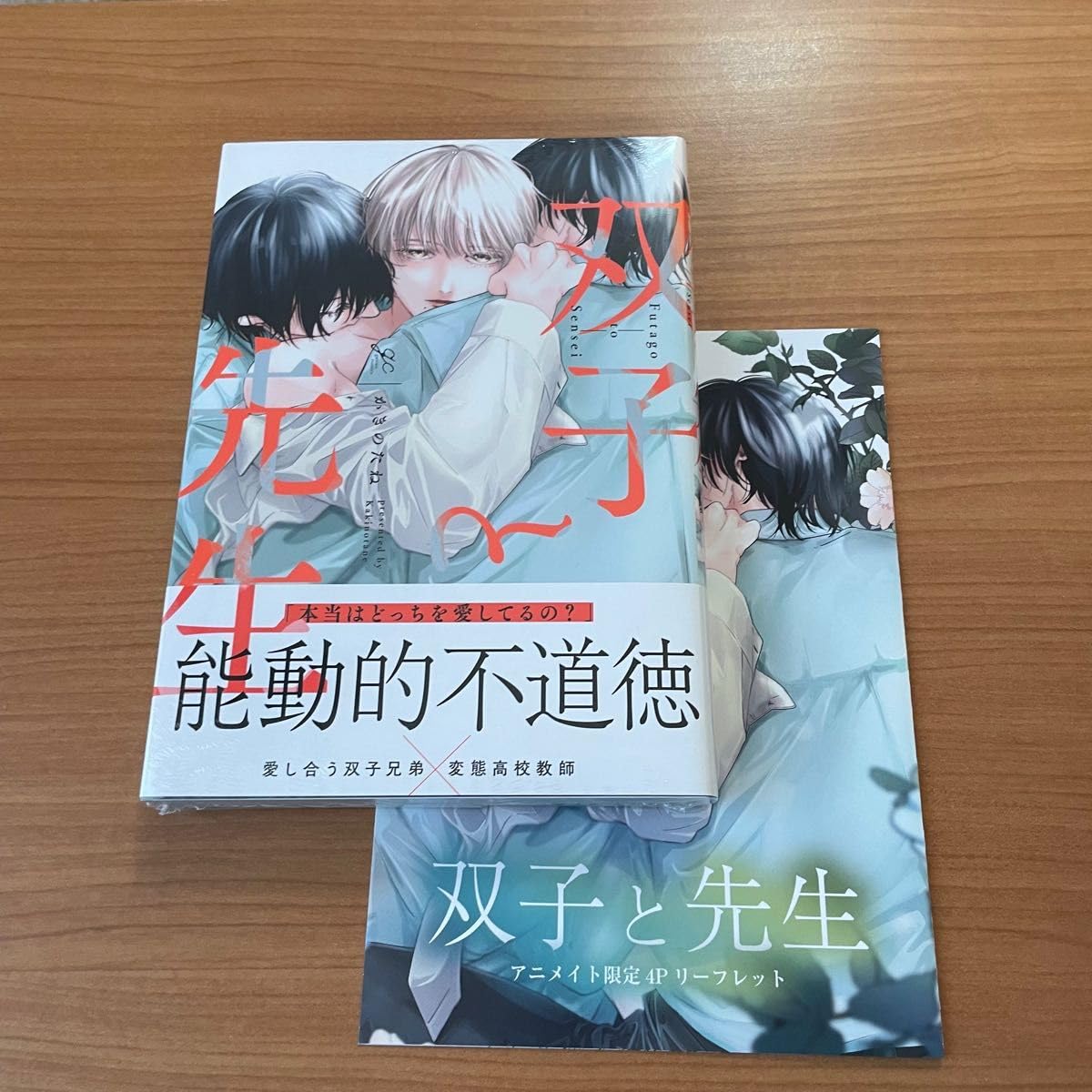 Amazon.co.jp: 双子と先生 かきのたね アニメイト 特典 リーフレット 