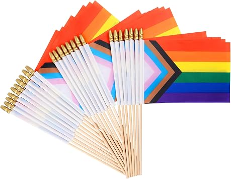 25 Pack Mini Progress Pride Flag Rainbow Gay Pride Stick Flag Small Hand Held LGBT Flags for Pride Parade Rainbow Festival Party Decorations 5x8 Inches