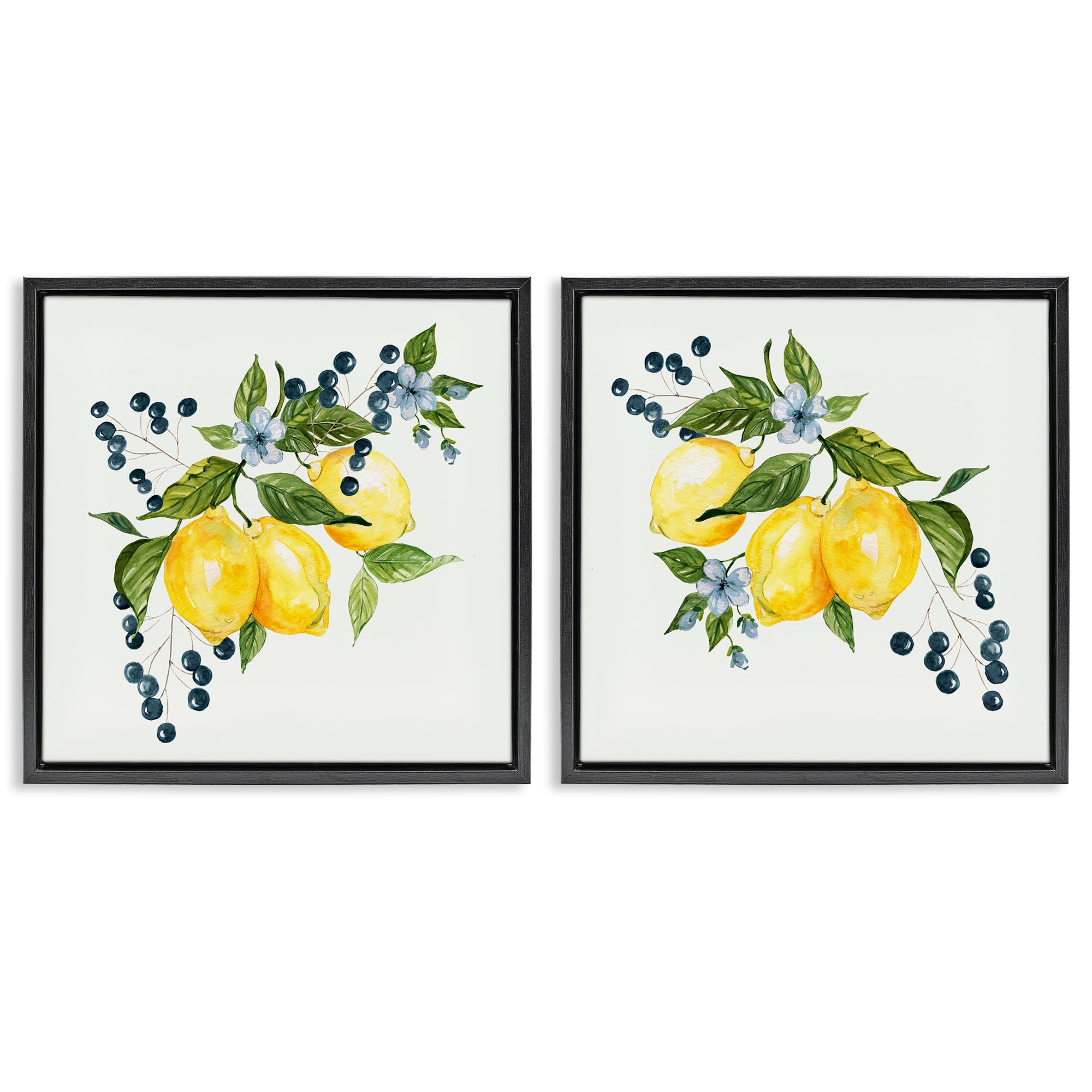 Stupell Industries Jet Black (Matte) Citrus Berries Botanical Kitchen, 24 X 24 Inch Canvas In Floater Frame Set