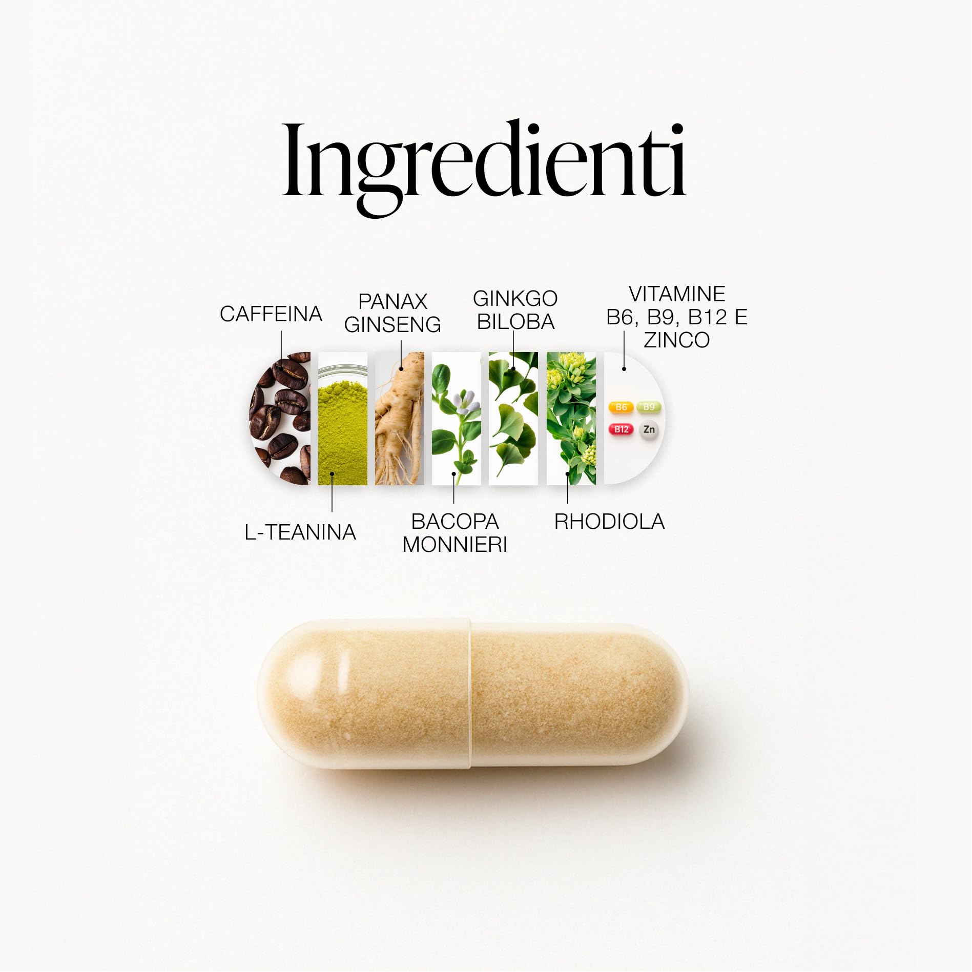 ZZEN FOCUS - Nootropico Naturale, Integratore Stanchezza per Energia, Concentrazione e Memoria | Caffeina, L-Teanina, Bacopa Monnieri, Ginkgo Biloba, Ginseng, Rhodiola, Vitamine B6/B9/B12, 60 Capsule
