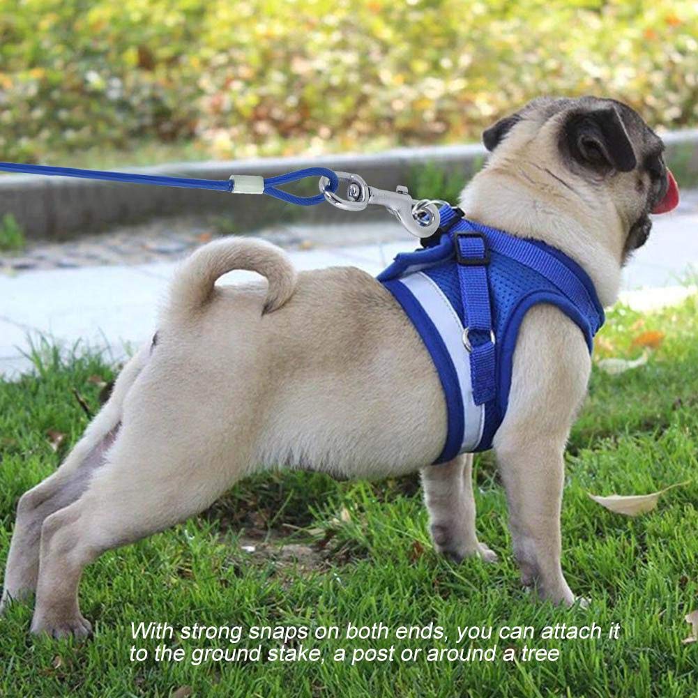 Dog Chain Extendable for Pets Long Steel Wire Dog Rope with Double Clips, Chew Resistant Tie Out for Picnic, Camping, Outdoor Use Secure Animal Safety with Durable Cord (Blue)