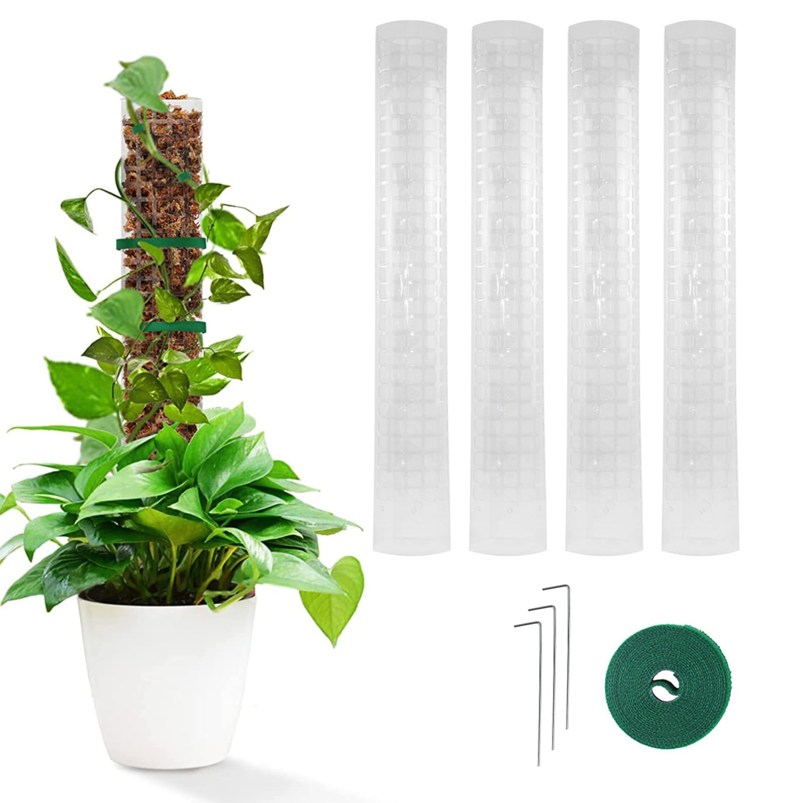 4 Stck Monstera Rankhilfe Plastik, Wiederverwendbare Kunststoff Moosstange  Rankhilfe Kunststoff Rankhilfe Monstera mit 3 Erdspie Pflanzen Rankhilfe,  fr Kletterpflanzen Garten Pflanzenuntersttzung : Amazon.de: Garten