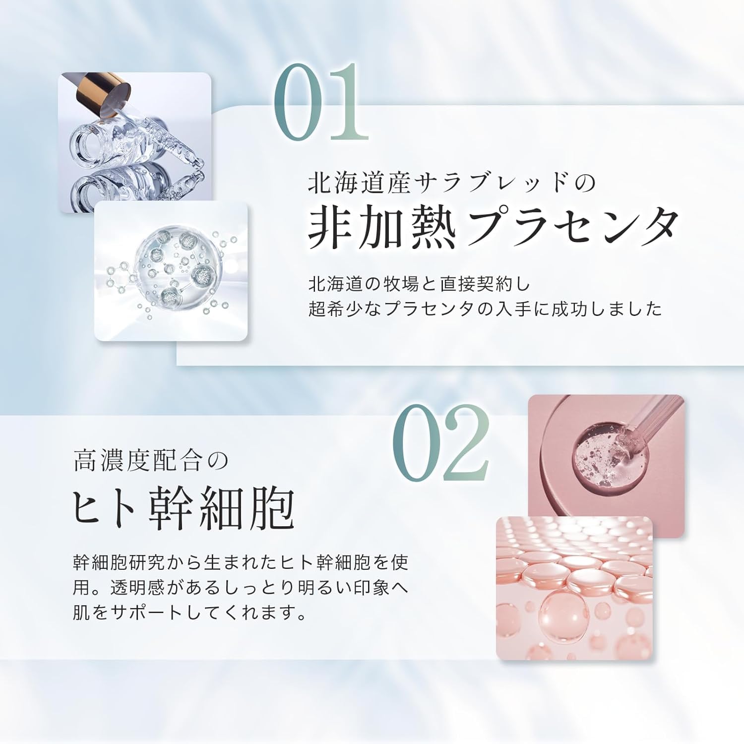 Amazon.co.jp: アージー(AHZY) エッセンス美容液 30mL ヒト幹細胞培養