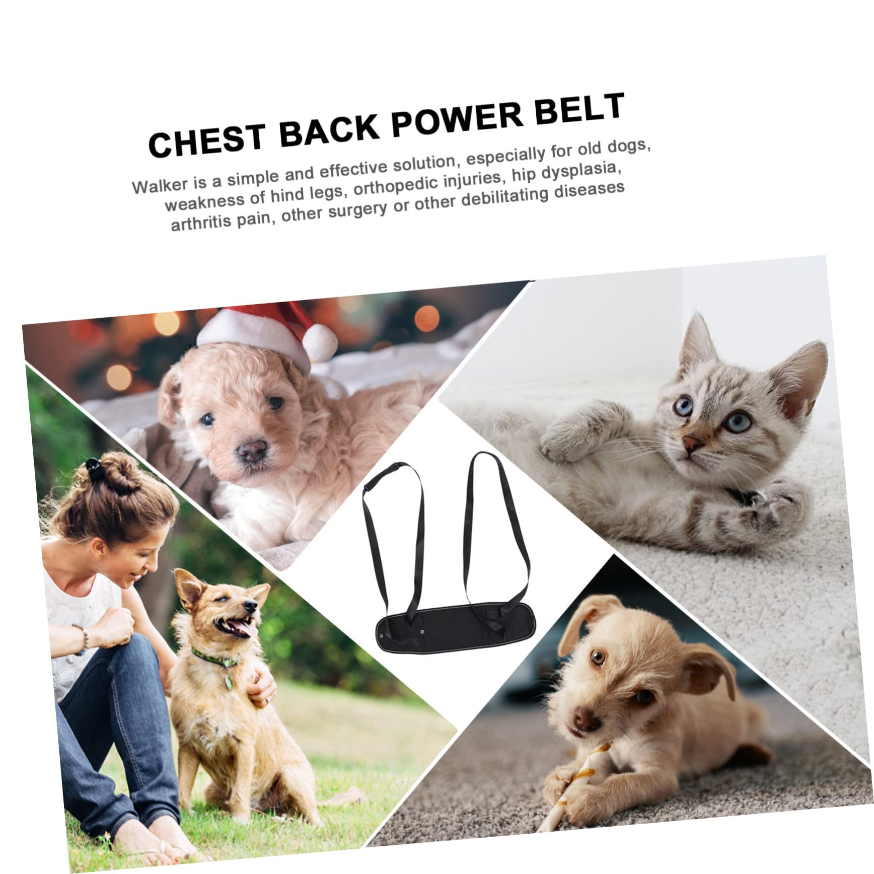 Angoily 3pièces De Soutien pour Chien Ceinture De Levage Arrière pour Chiens Âgés Handicapés Ou Blessés Accessoire Pratique pour Promenades Extérieur Déplacements