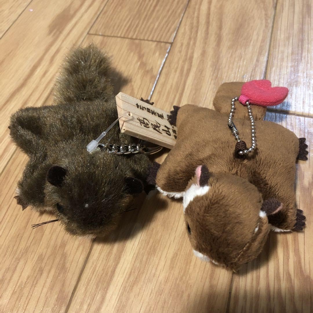 Amazon.co.jp: 高尾山 ムササビ ぬいぐるみキーホルダー 2色セット