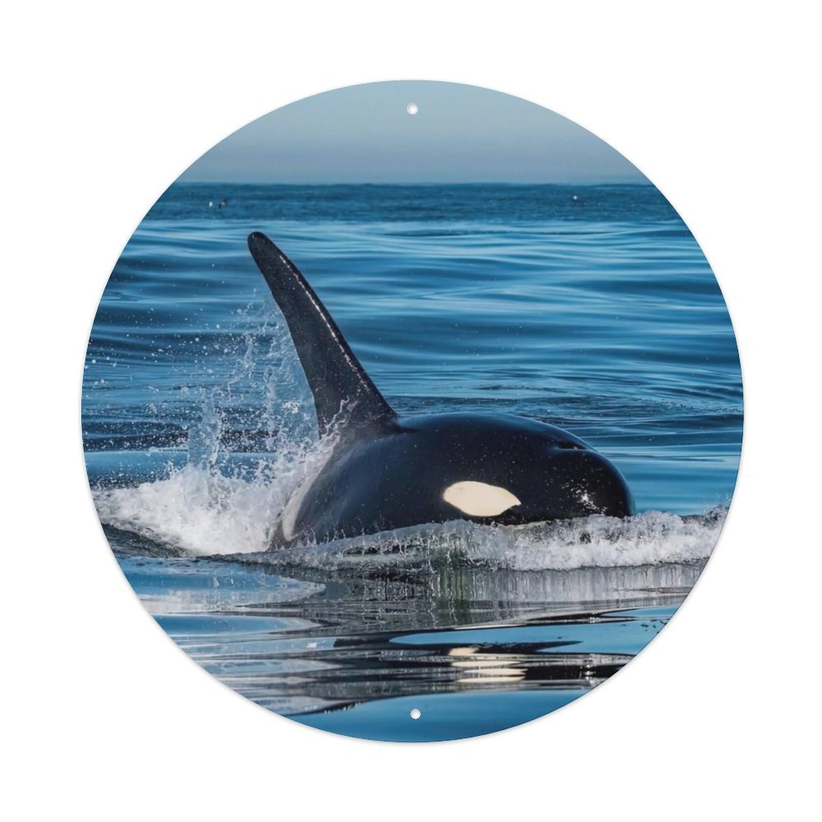 Animals Artwork Offshore Killer Whale Vintage Metal Tin Sign Plaque Wall Decor for Cafe, Club Bar, Office, Garden Metal Poster 8x8Inch