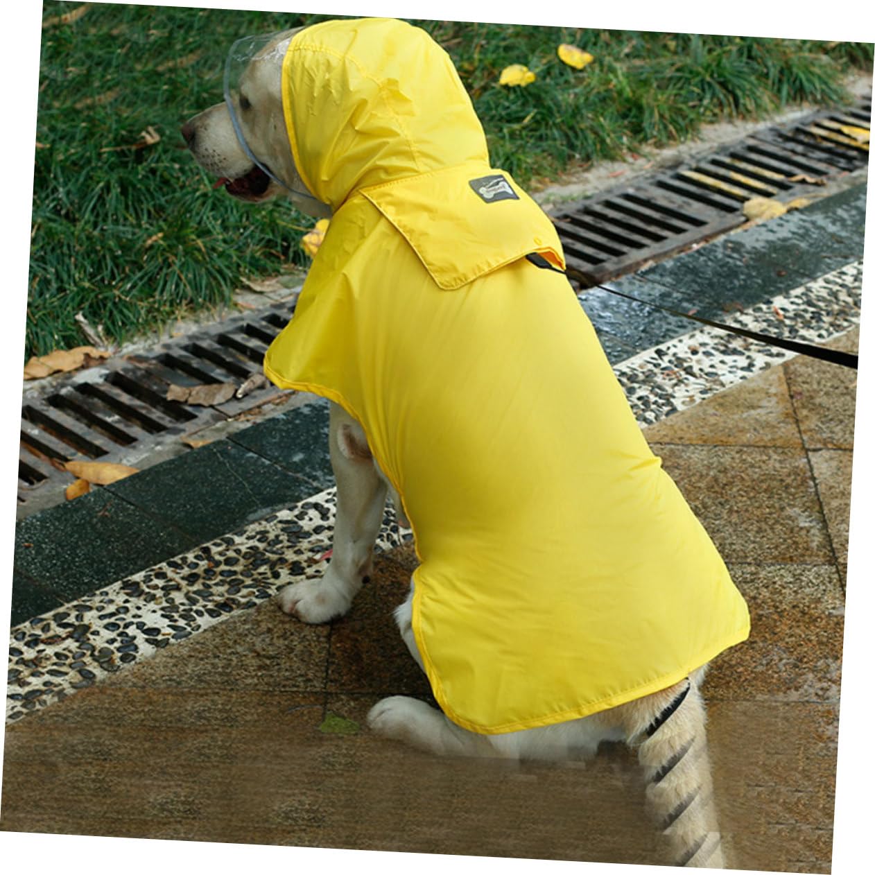 Manteaux de Pluie imperméables pour Chien, imperméable pour Chien, 2 pièces, Gilet réfléchissant à Capuche pour Chien, Gilets réfléchissants, Manteaux de Pluie