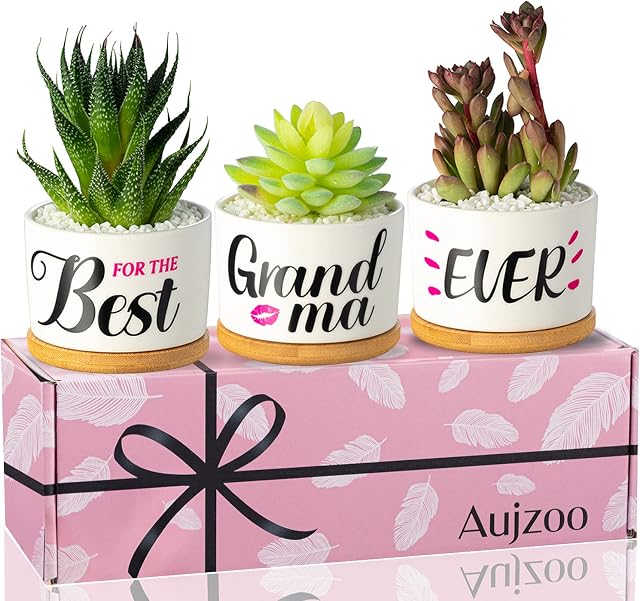 Aujzoo Grandma Gifts for Mother's Day, Best Grandma Ever Birthday Gift, Succulent Plant Pots and Creative Present for Gigi Nana, Plant Pots Set with Beautiful Gift Box