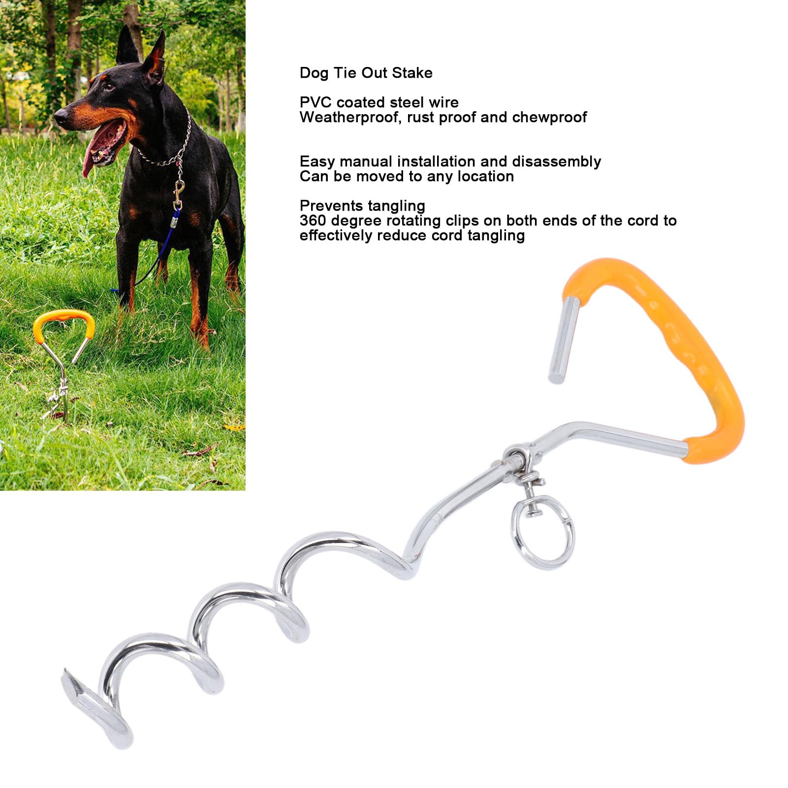 Piquet D'attache Chien Extérieur - Acier Inoxydable - Pour Camping Et Jardin