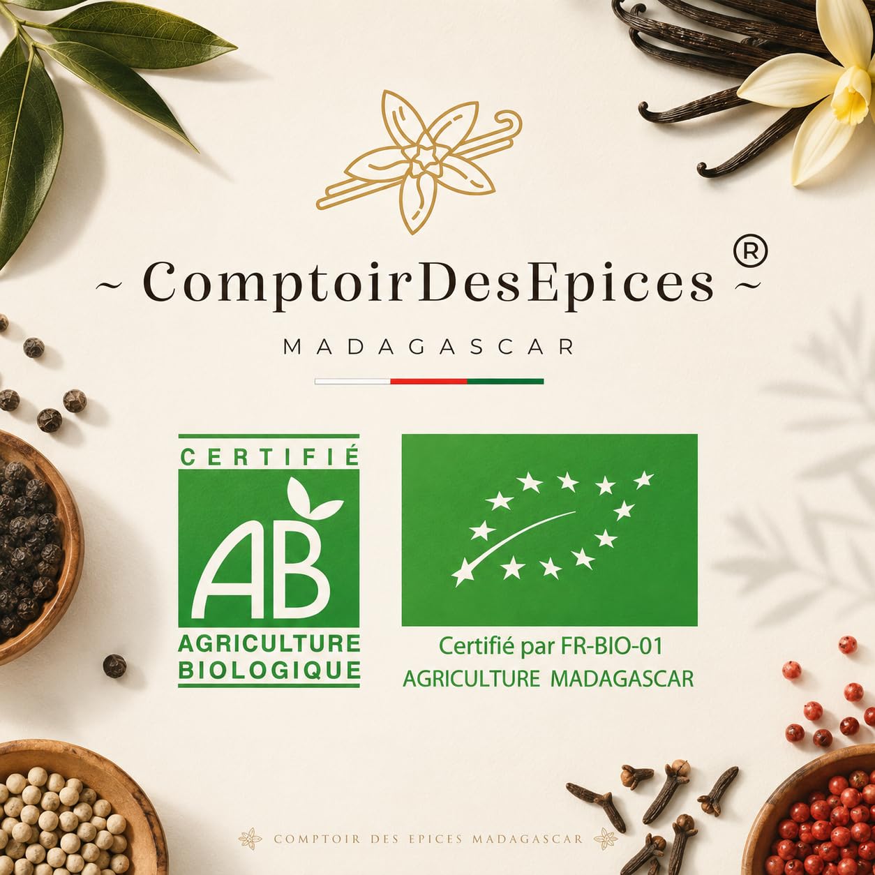 Masse de Cacao Cérémonial 5kg (10x500g) | 100% Pur | Direct Producteur | Notre Coopérative | + Vanille Bourbon BIO 100g Offerte | COMPTOIR DES EPICES MADAGASCAR