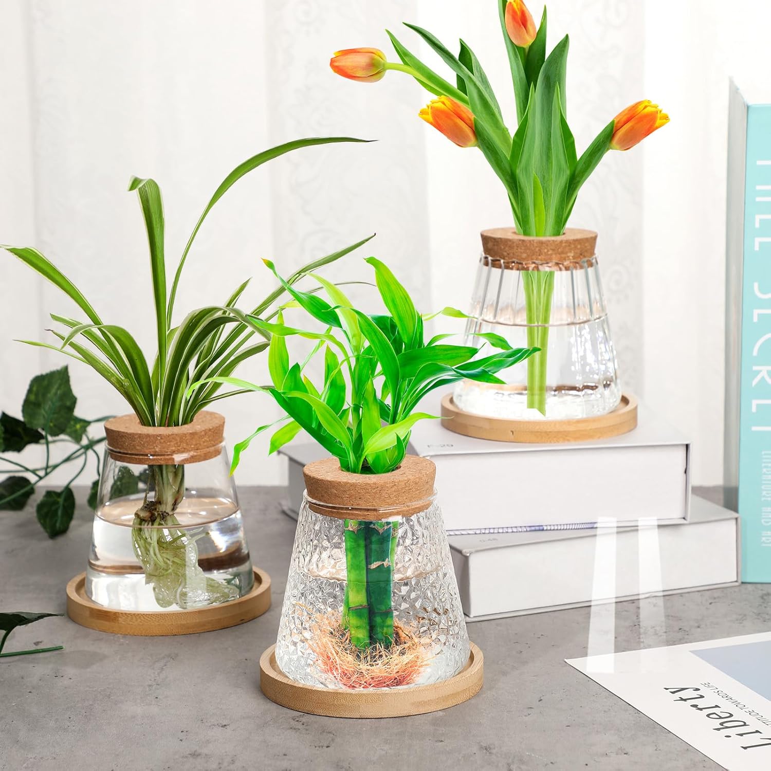 6 Pcs Plants Propagation Station Separated Desktop Plant Terrarium with Wood Lid and Stand, 3 Sizes Glass Planter Propagated Jars Propagation Vases for Indoor Home (Cute Style) - Image 4