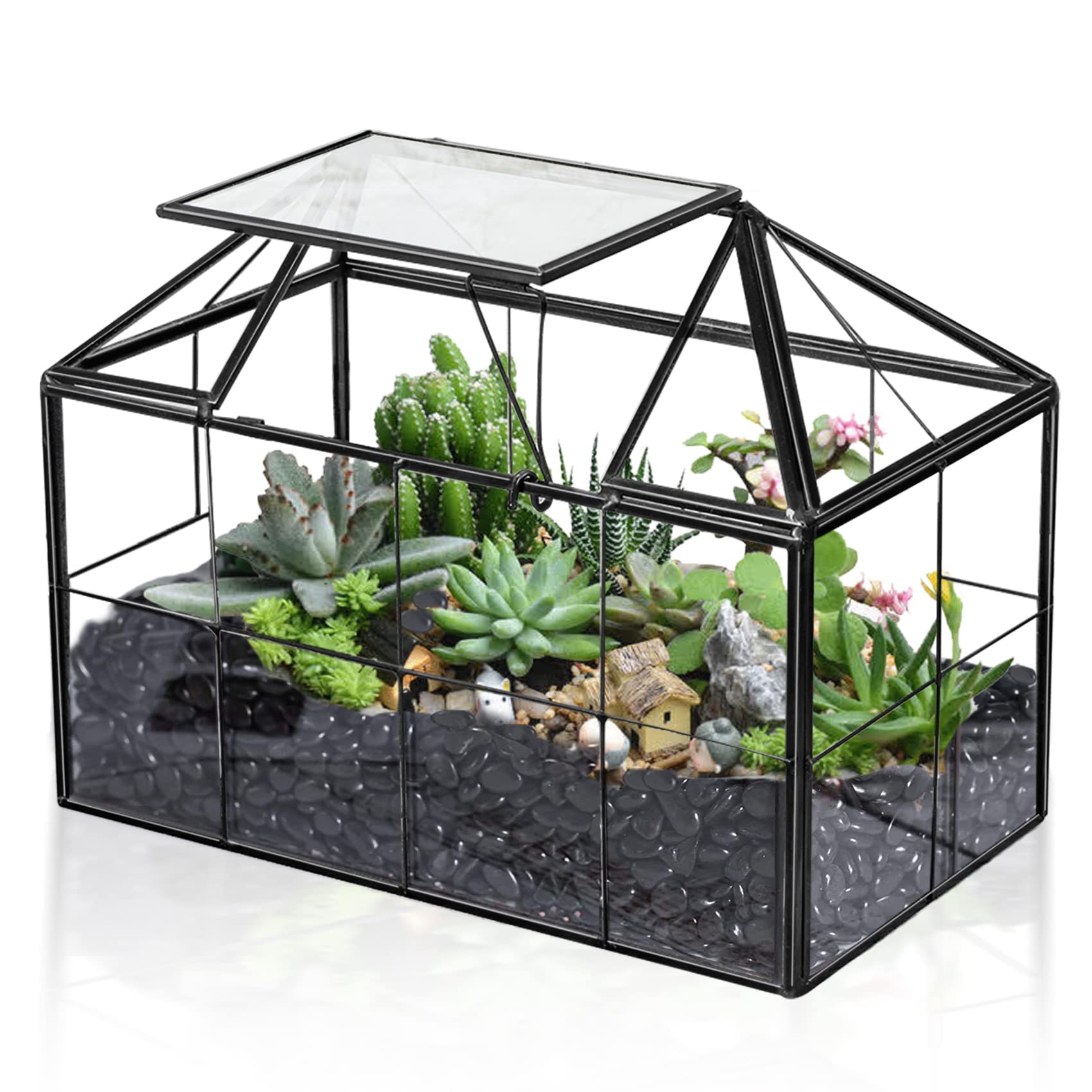 LIMOR 9.1" House-Shaped Succulent Glass Terrarium, Ideal for Gifting
