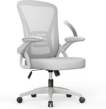 naspaluro Office Chair with Back Support (Without Headrest, Grey)