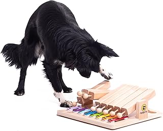 Jouet Chien Occupation – Jouet Interactif pour Chat et Chien - Jeu Intelligence pour Chiens, Jouet Chat Interactif pour Stimulation Mentale et Antiennui - Piano
