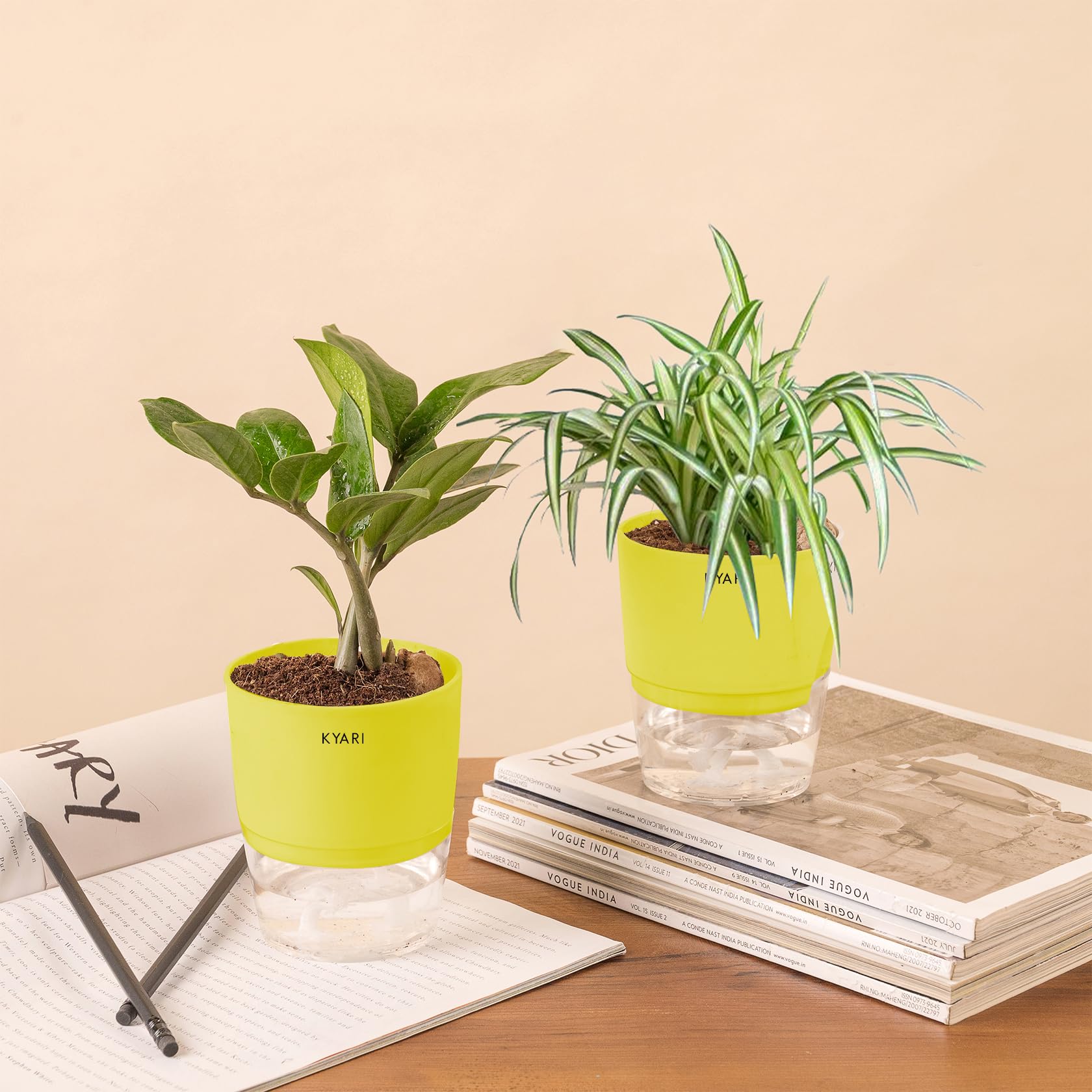 KYARI Zamia Green (ZZ)-Spider Combo of 2 Indoor Plants for Living Room | Live Plants | Plants with Green Pot for Home Air purifier plants | Plants for Home Decor | Plants for garden (B0CHYTDYGP) Amazon Price History, Amazon Price Tracker