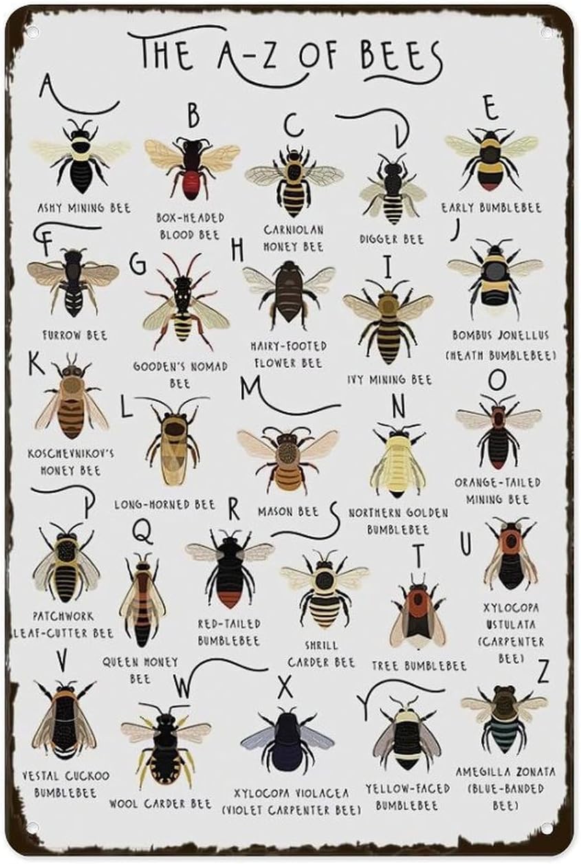 Sitrmgh Men's Educational Posters Types Of Bees Chart, The A-Z Of Bees Knowledge - Poster Vintage Metal Plaque, For School Education Farm Household Kitchen Club Wall Decoration Plaque 8X12 Inch