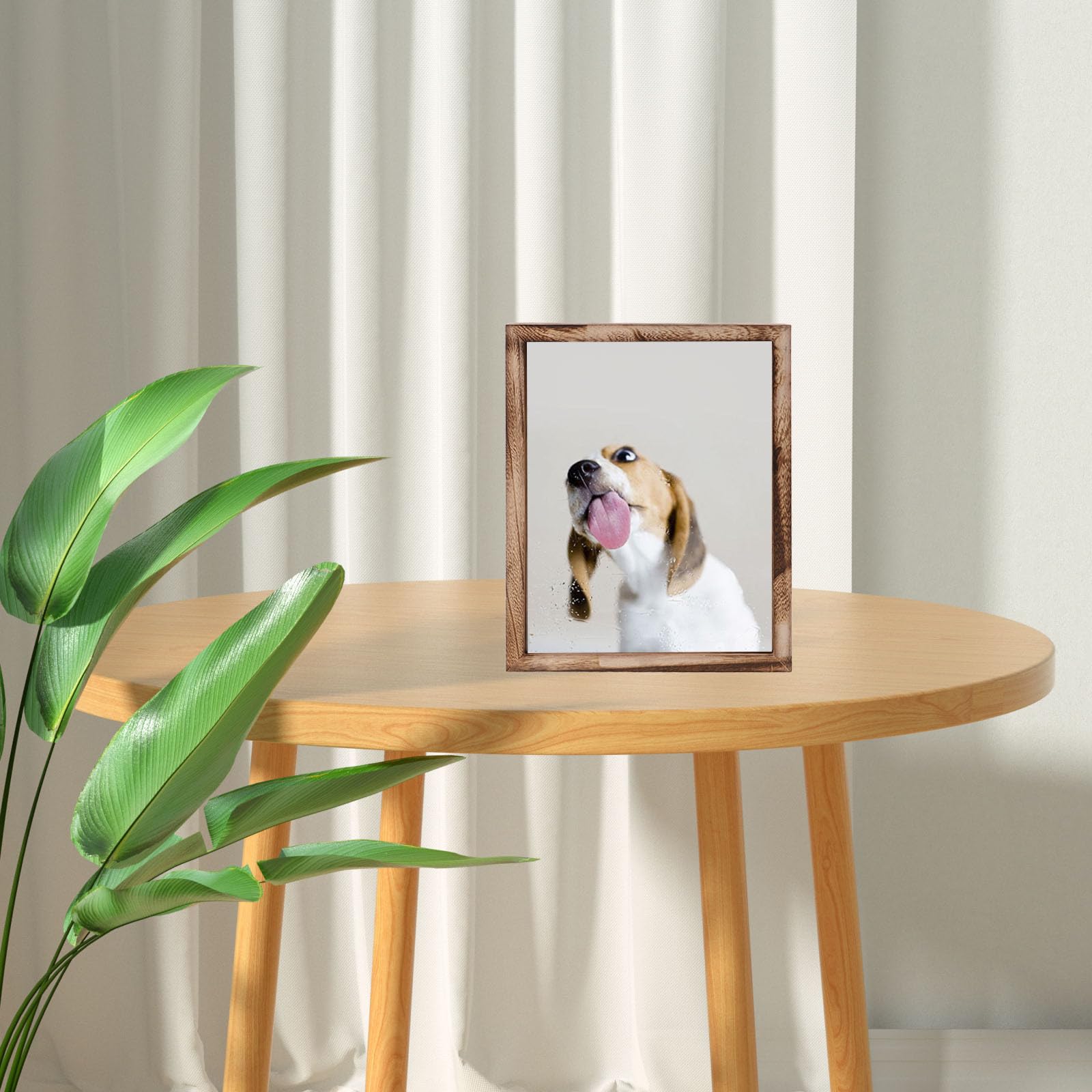 Marco de Medallas Decorativo de Madera para Escritorio, Fotos