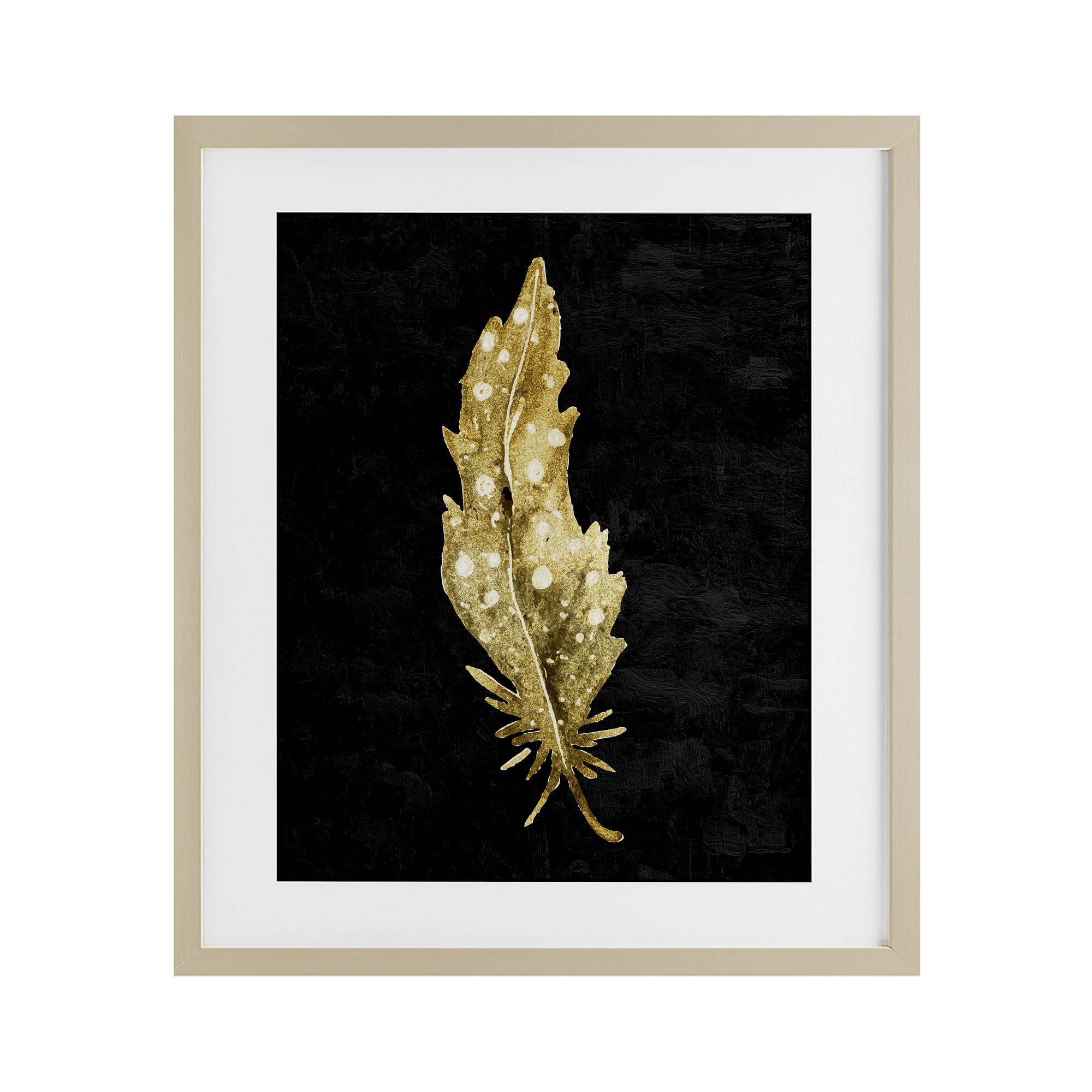 Stupell Industries Feather On Black Gray Framed Print Under Glass, design by Kim Allen, 16 x 13
