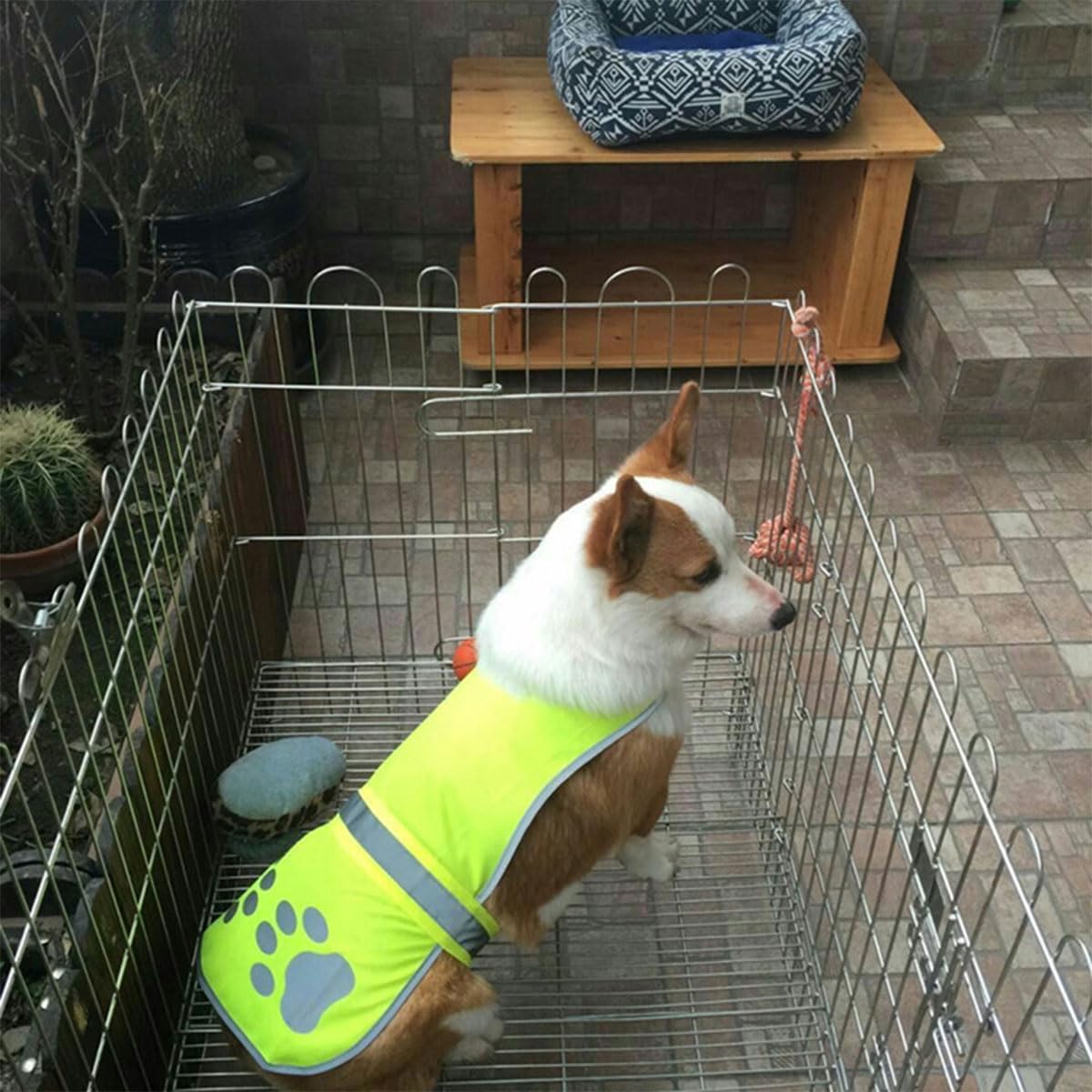 Gilet Réfléchissant pour Chien,Chiens Sécurité Harnais Vestes,Vêtements Petit Grands Chiens Gilet de Sécurité Réfléchissant,Haute Visibilité,pour Promenades Nocturnes Activités Extérieures,Taille(L)
