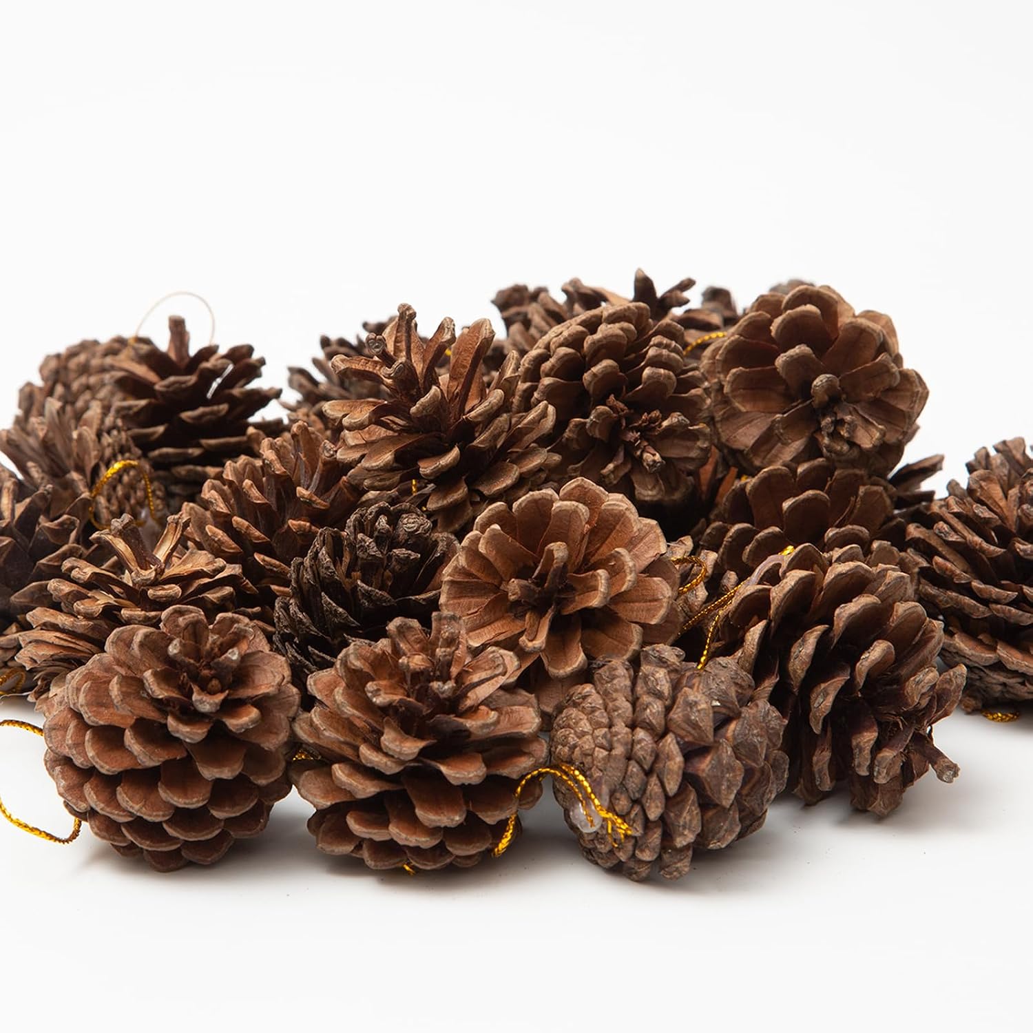 30Pcs Pine Cones for Craft Christmas Rustic Pine Cones with String Fall Garland Decor Christmas Tree Ornaments Winter Vase Filler