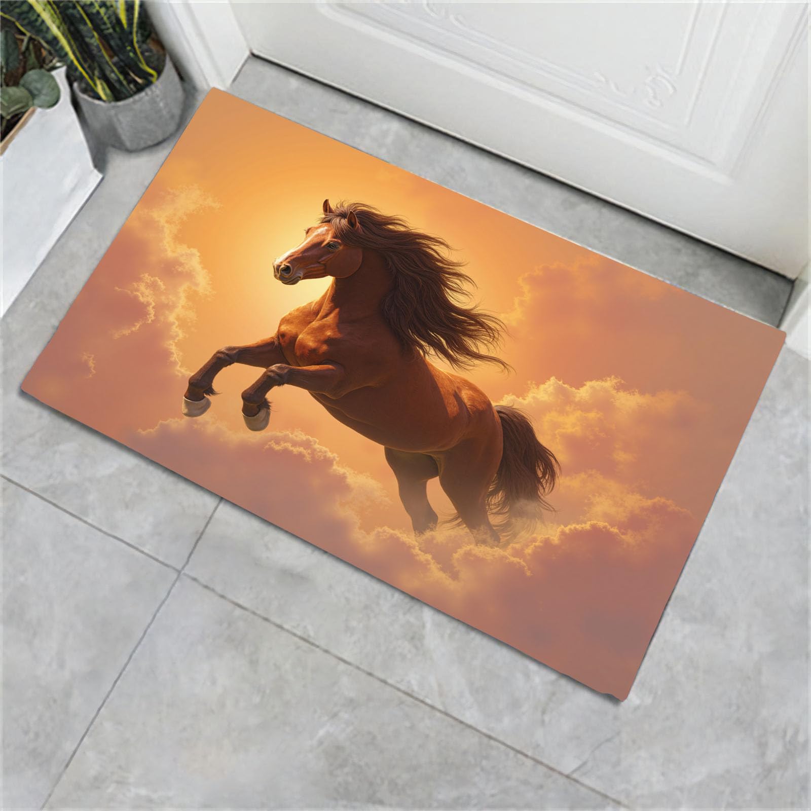 Paillasson cheval des nuages antidérapant pour entrée lavable et pliable