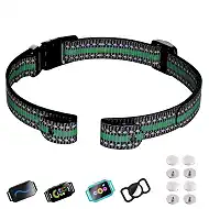 Aikko Nylon Collar Replacement Strap with Heavy-Duty Buckle, Reflective Dog Tracker Receiver Band, Durable Adjustable E Collar Systems Belt for Small Medium Large Dogs, Green