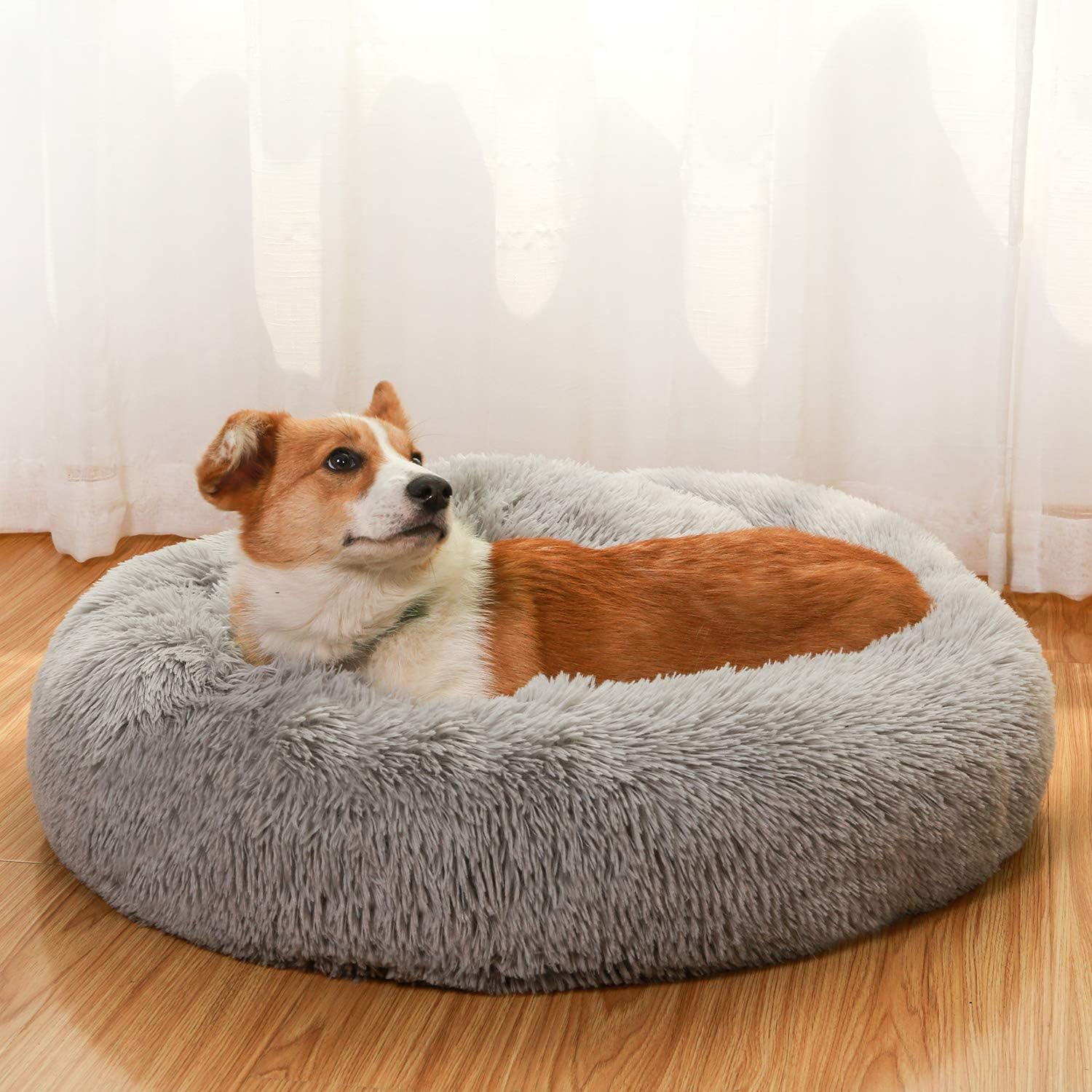 durable pet beds