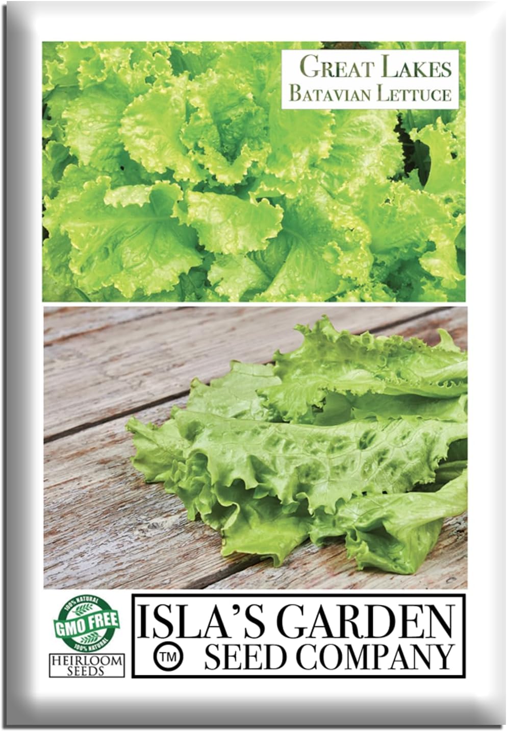Great Lakes Batavian Leaf Lettuce Seeds: 1000+ Heirloom Non-GMO by Isla's Garden Seeds | Crisp Thick Leaves, Cool-Season Crunchy Heads