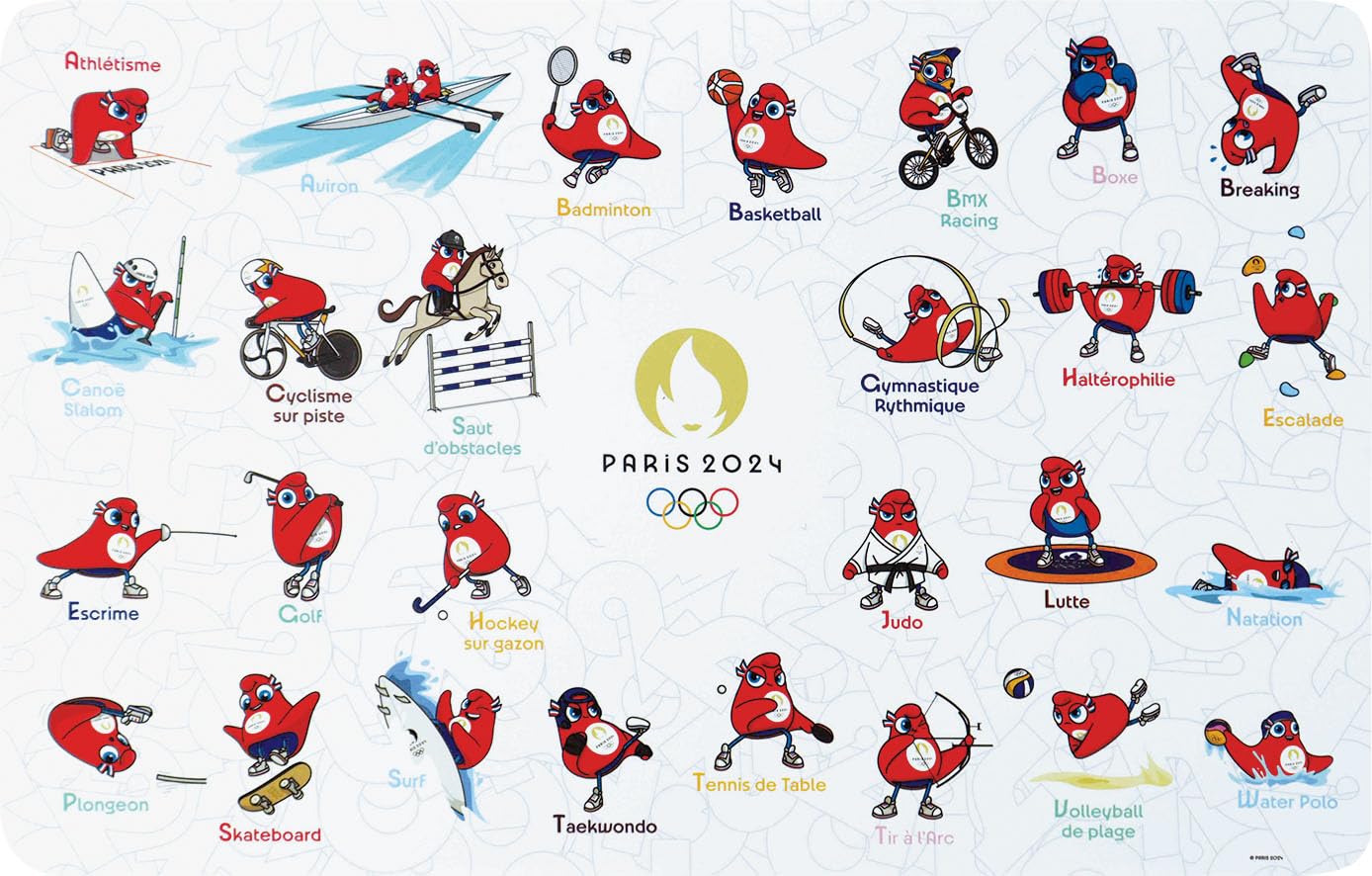 EQUIPEMENT VOLONTAIRE JEUX olympiques Paris 2024 EUR 1.100,00 - FR