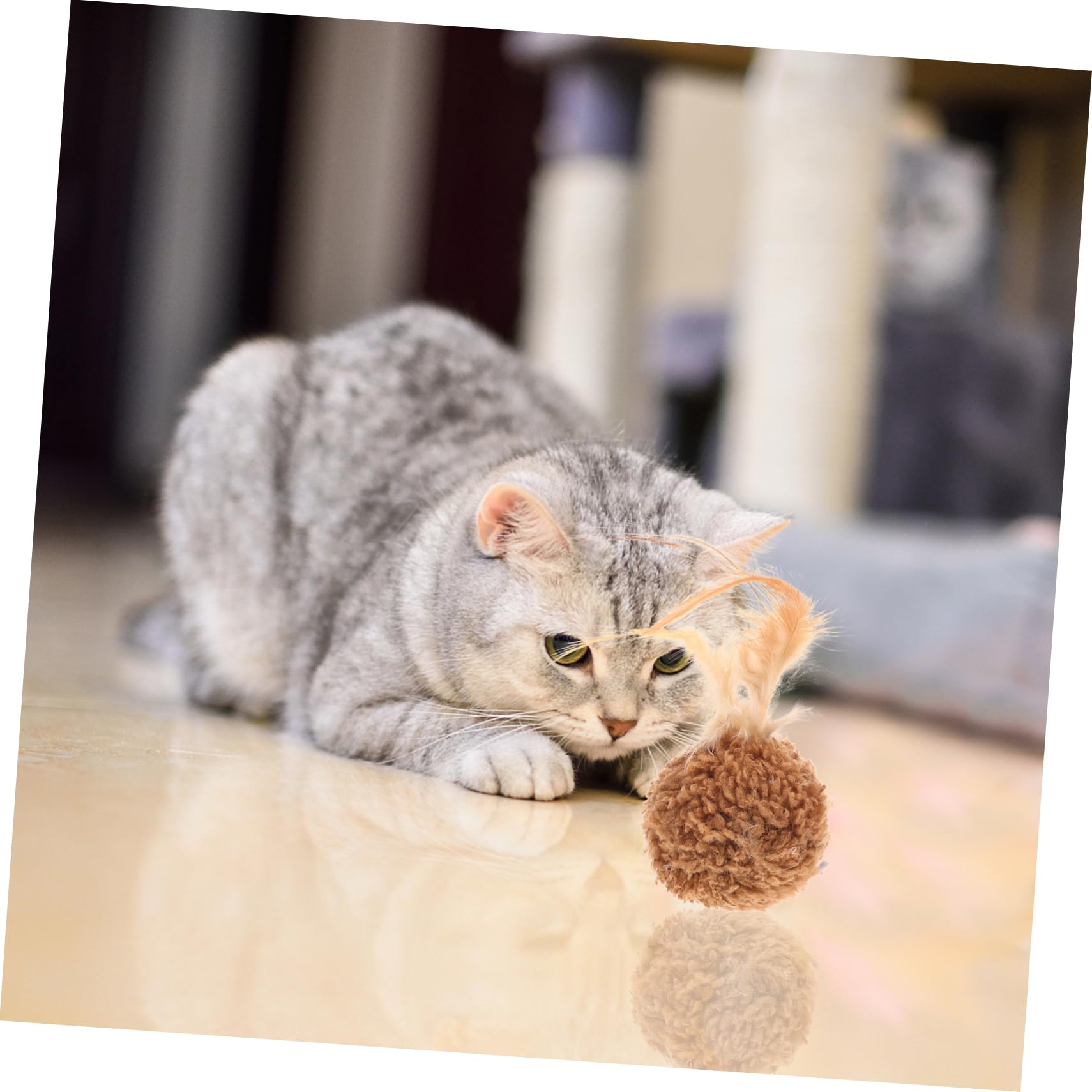 DOITOOL 45pièces Jouets pour Chats avec Plumes Et Clochettes Accessoires Amusants pour Chatons Résistants Et Interactifs