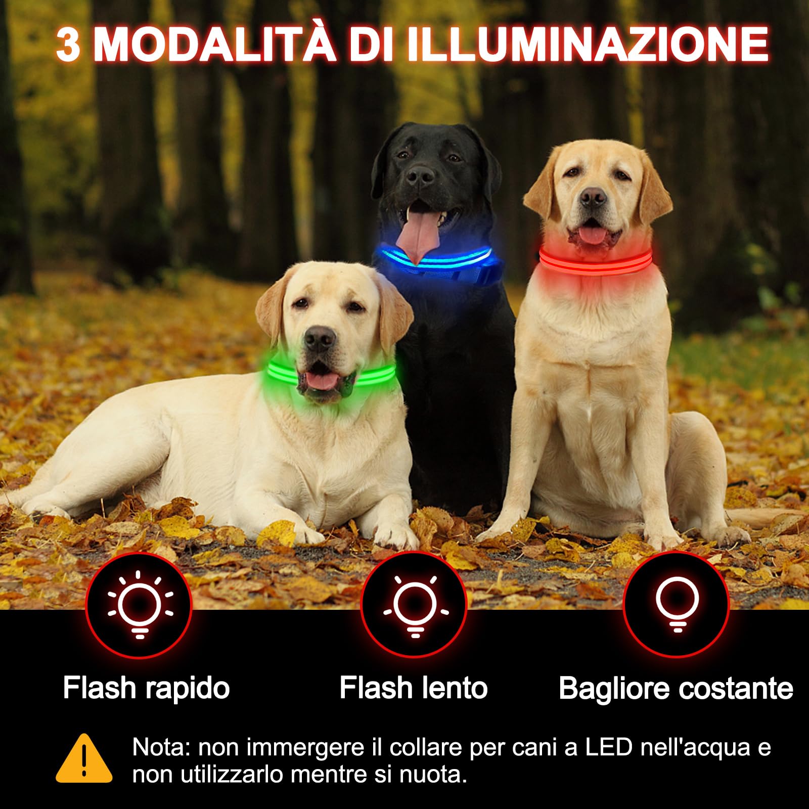 Nepfaivy Collare Luminoso per Cani Ricaricabile - Collare per Cani a Led con Lunghezza Regolabile, 3 Modalità di Illuminazione per la Sicurezza Notturna, Rosso