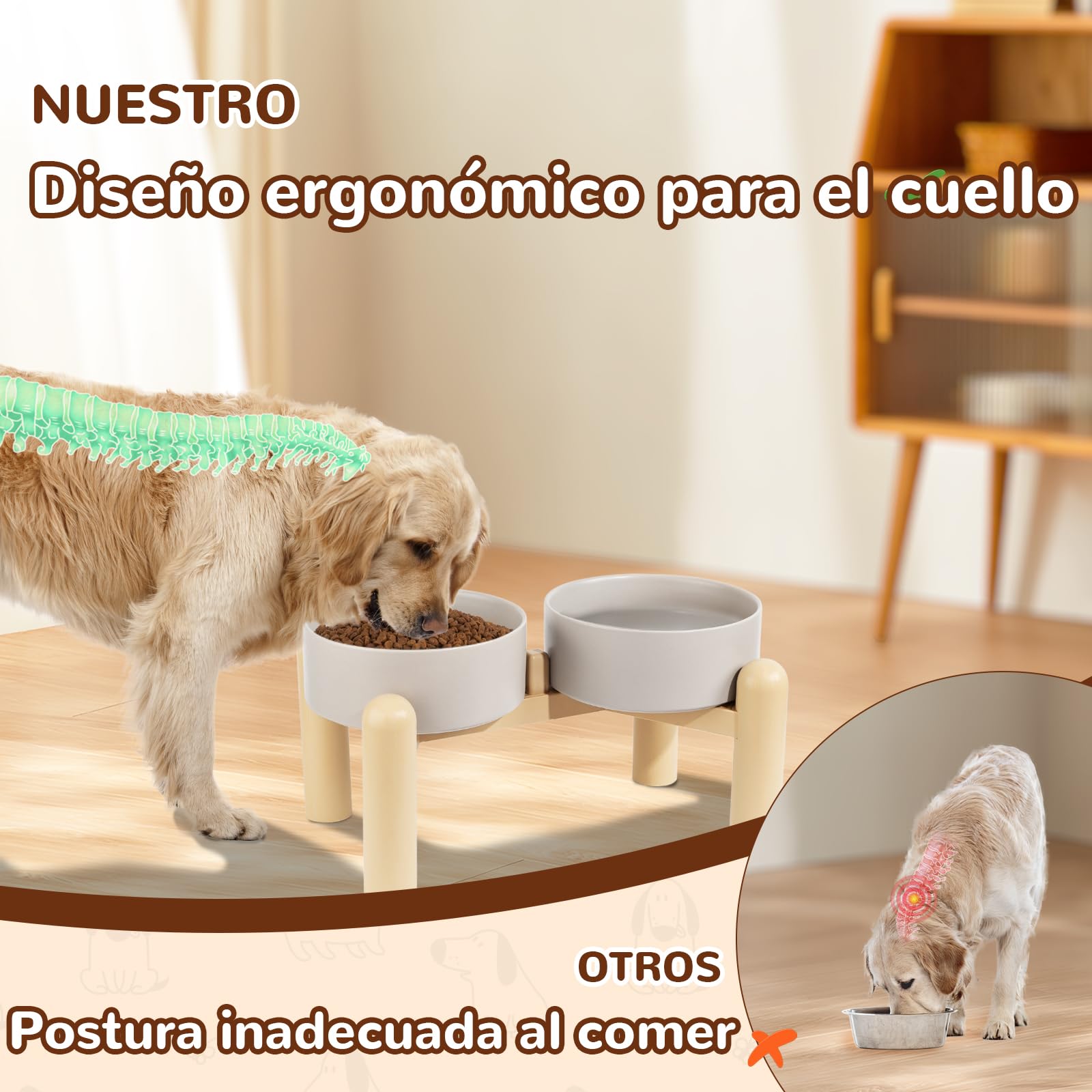 Comedero Elevado para Perro de Cerámica - Cuencos Doble con Soporte Antideslizante - para Agua y Comida - Apto para Perros Medianos y Grandes - 2 x 2000 ml - Verde