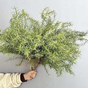 2Pcs Faux Asparagus Fern Bush 26In Large Artificial Radix Asparagi Fern Greenery Plants Home Decor Kitchen Garden Patio Balcony Decor