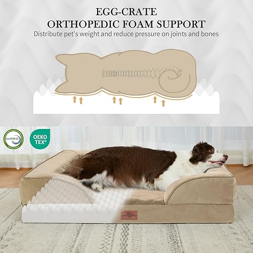 Miniatura 84 de Comfort Expression - Cama ortopédica para perros extragrandes, 53 x 42 pulgadas, cama impermeable y de apoyo de espuma con cojines removibles, con