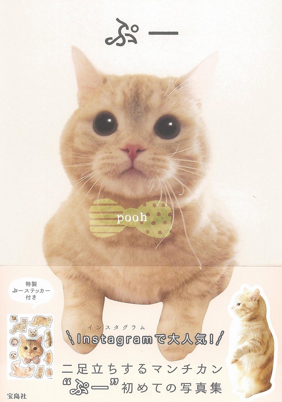 ぷー Pooh 本 通販 Amazon