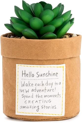 DEMDACO Amabilidad de las plantas - Sol