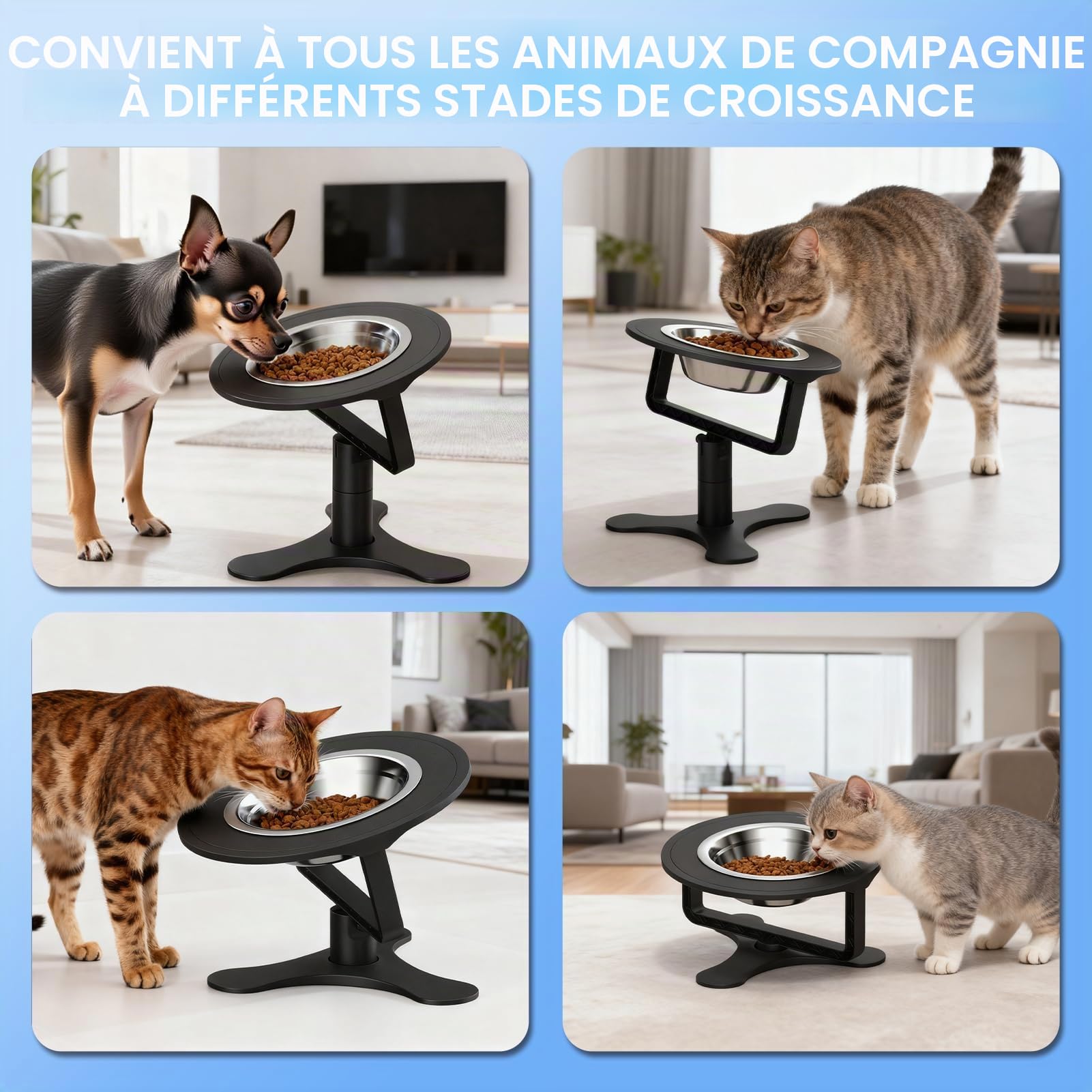 Bol surélevé pour Chat avec Support inclinable à 15°, Hauteur Ajustable 6/10/15 CM(2,4"/4"/6"), Bols en Acier Inoxydable, pour Chats et Chiots d'intérieur, Support antidérapant