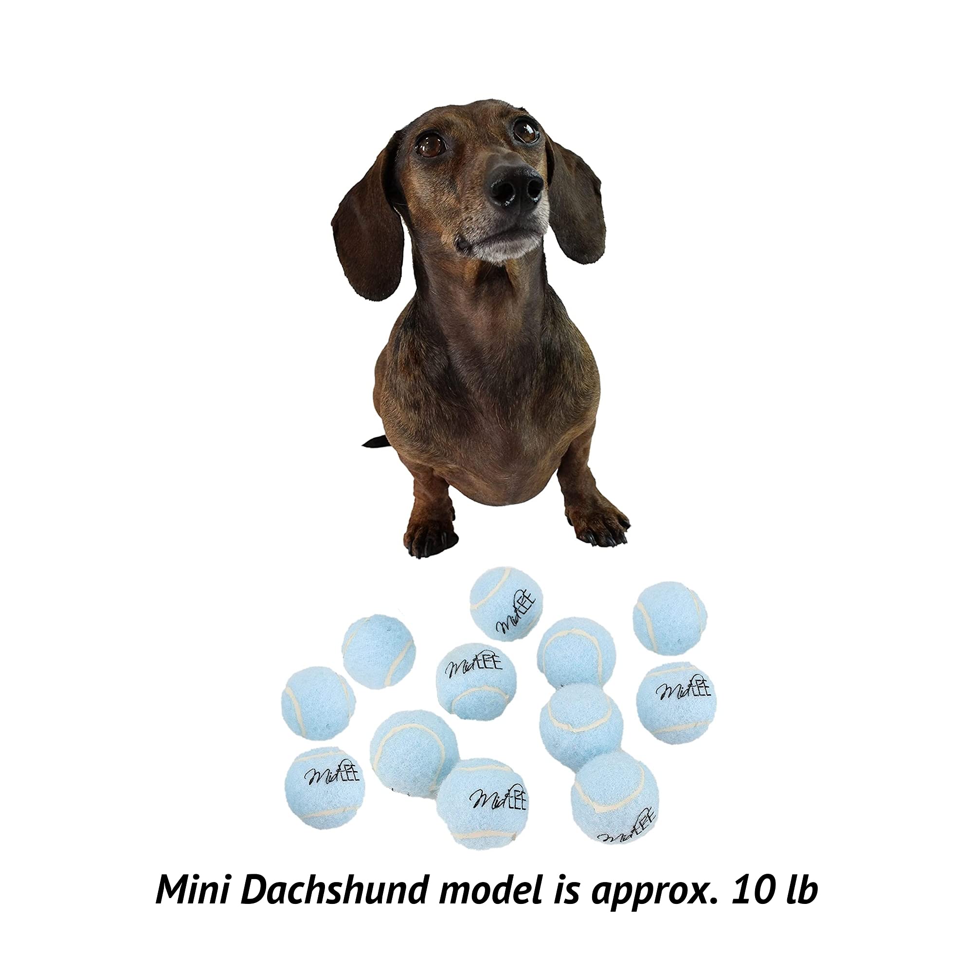 Mini-Tennisbälle Für Kleine Hunde – 12 Stück, 3,8 Cm, Bunt, Für Apportieren