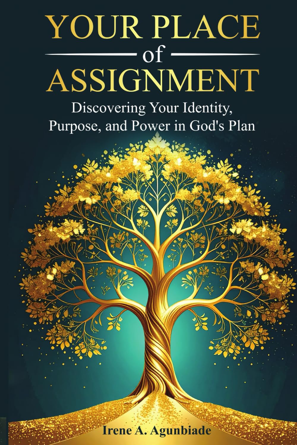 Your Place of Assignment: Discovering Your Identity, Purpose, and Power in God's Plan