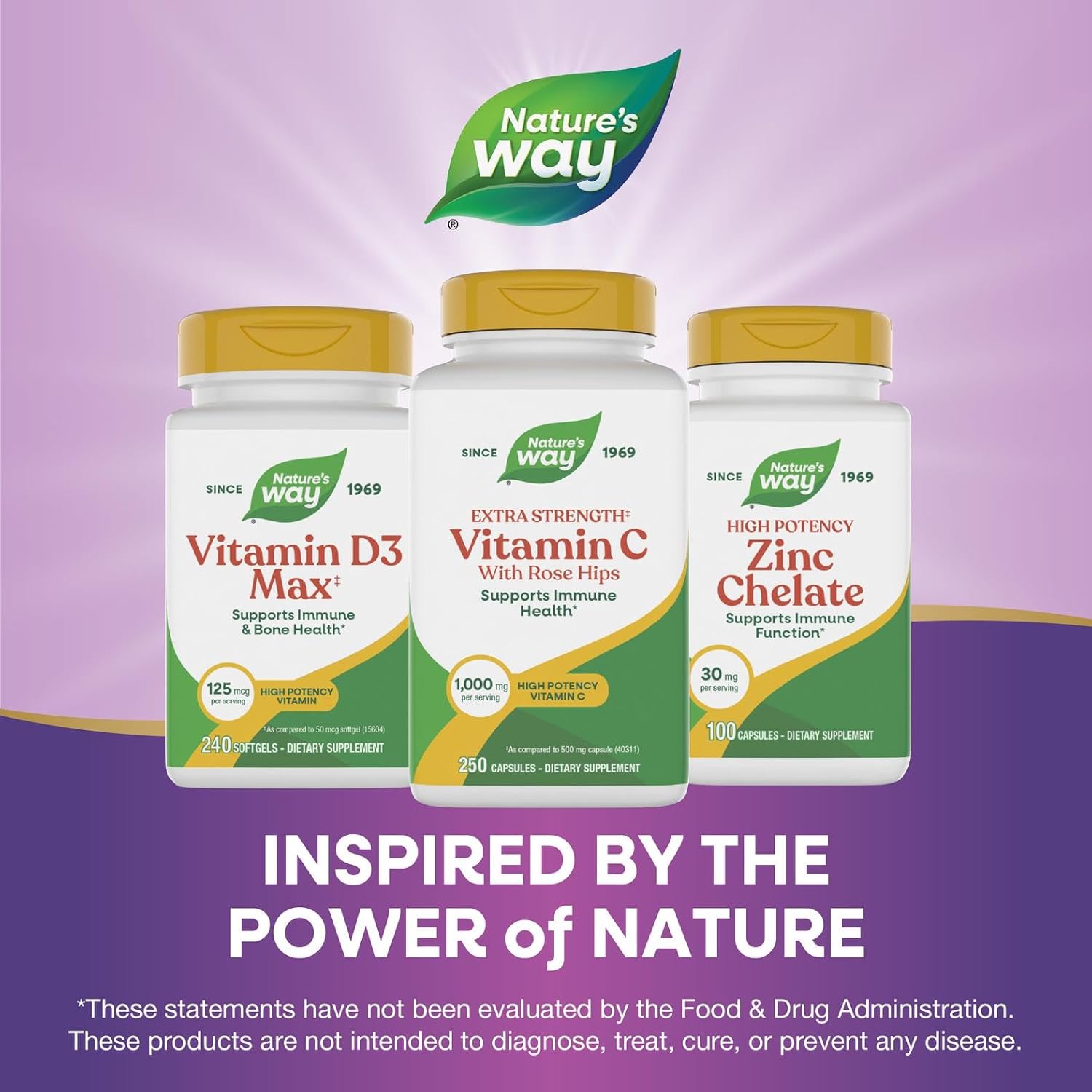 Vitamin C with Rose Hips; 1000 mg Vitamin C per Serving