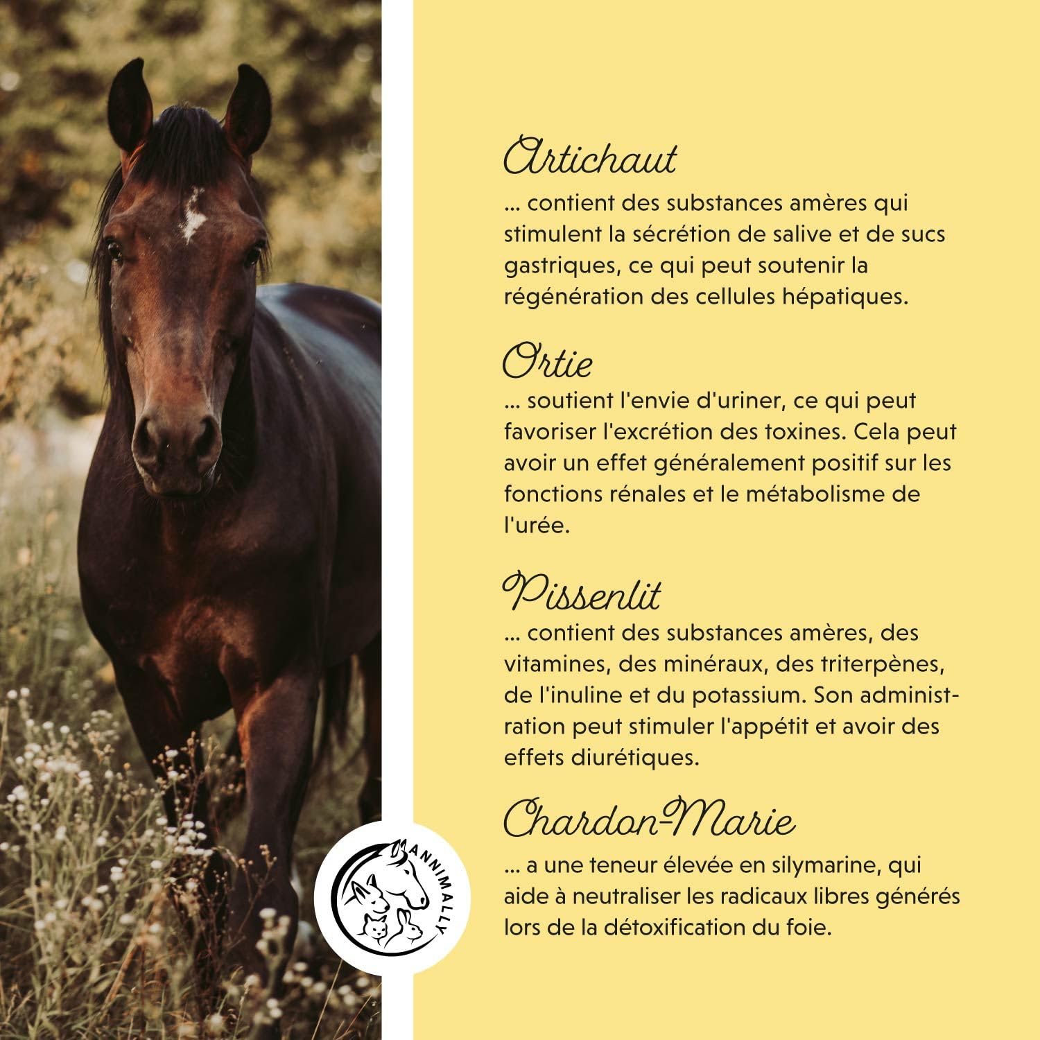 Liquide Foie-Rein pour Chevaux - Jus d'herbes de 1000 ML avec Chardon-Marie et artichaut pour Le Foie - Jus pour Les Reins pour Un métabolisme sain chez Le Cheval