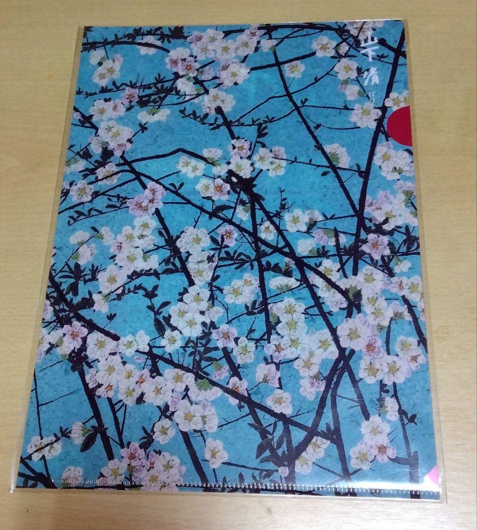 Amazon.co.jp: 放浪の天才画家山下清作画 ぼけの花 2014年個展会場購入