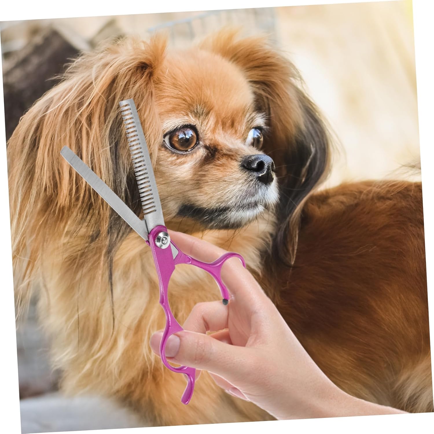HEMOTON 1 Set Pet Grooming Scissors Kit Lightweight Dog Trimming Scissors with Portable Storage Bag for Cat and Dog Grooming Safe Design for Stress Haircuts
