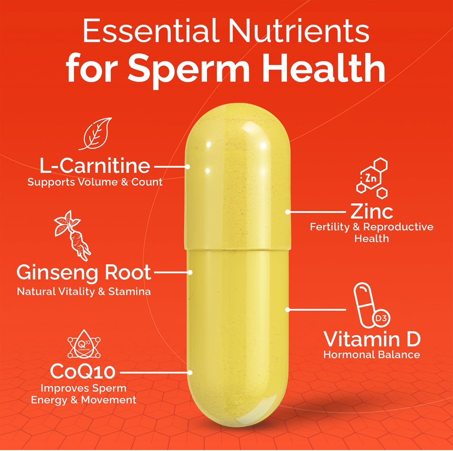 CONCEIVE PLUS Motility Support for Men | Boost Sperm Volume & Count | Spermidine Supplements with Vitamin D, E, Zinc, Antioxidants – Multivitamin Fertility Supplements for Men, 60 Caps